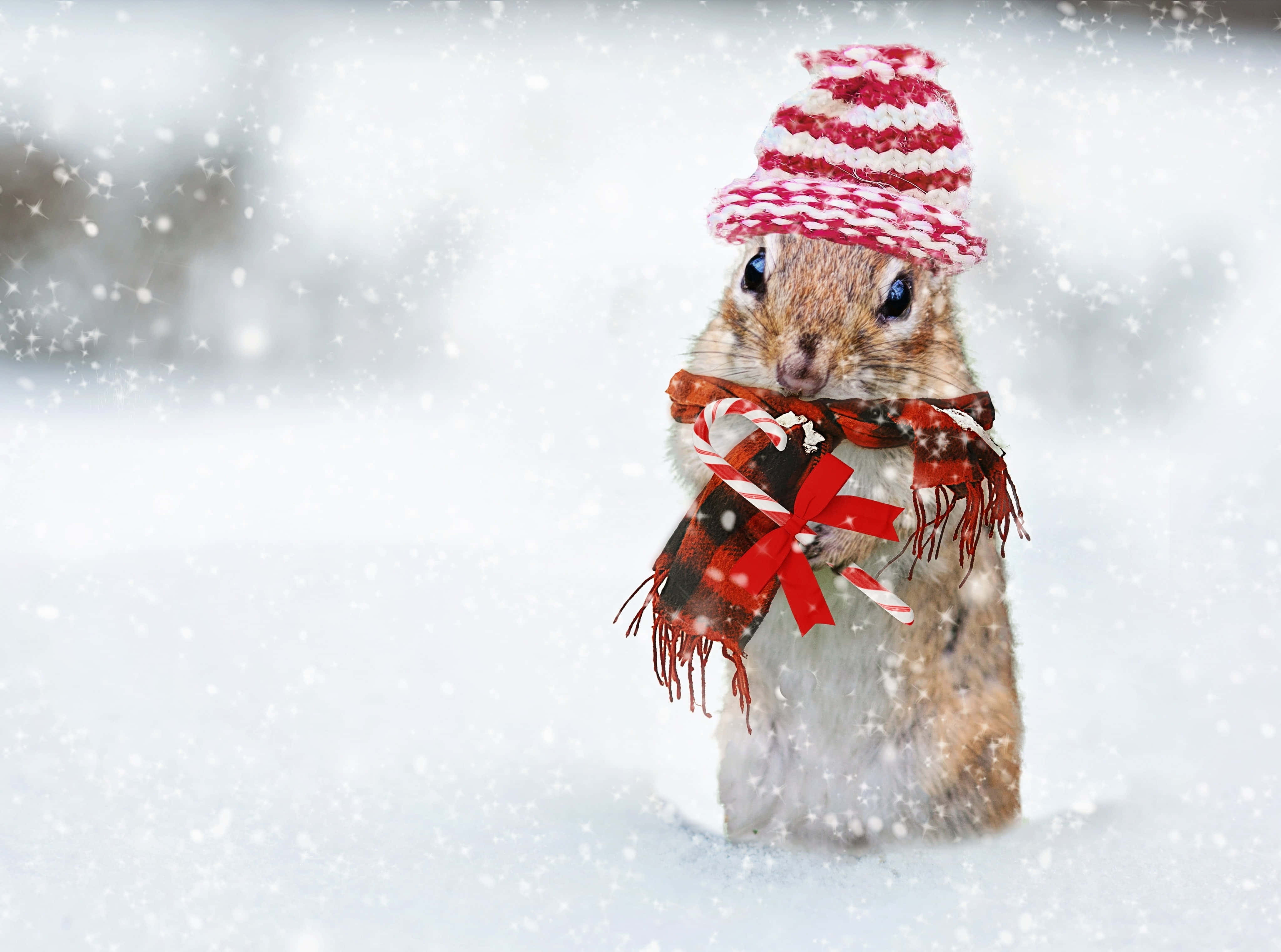 楽しいかわいいクリスマスの雰囲気でホリデー気分を盛り上げよう！ 壁紙