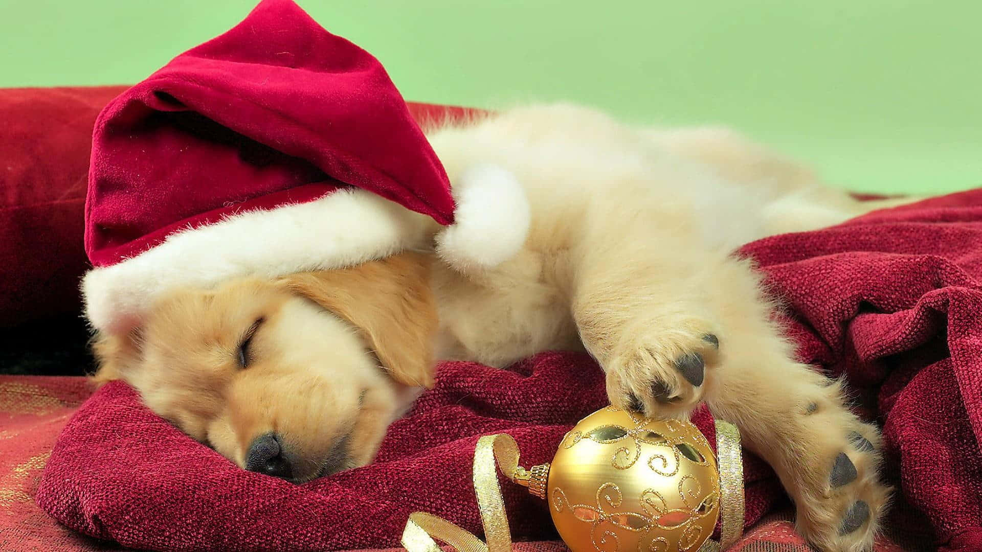楽しい喜びでクリスマスを祝おう 壁紙
