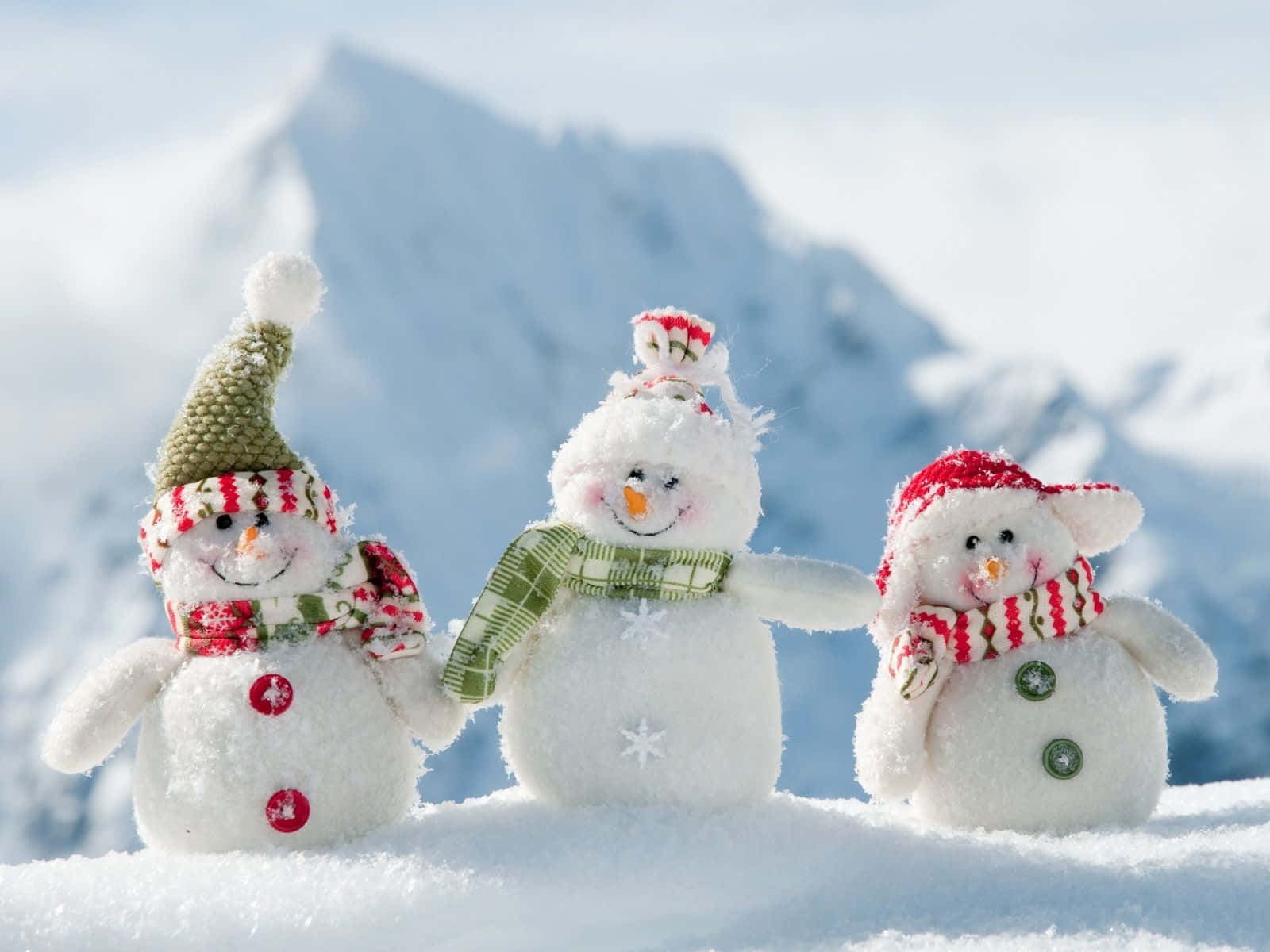 楽しくてかわいいクリスマスをお過ごしください 壁紙