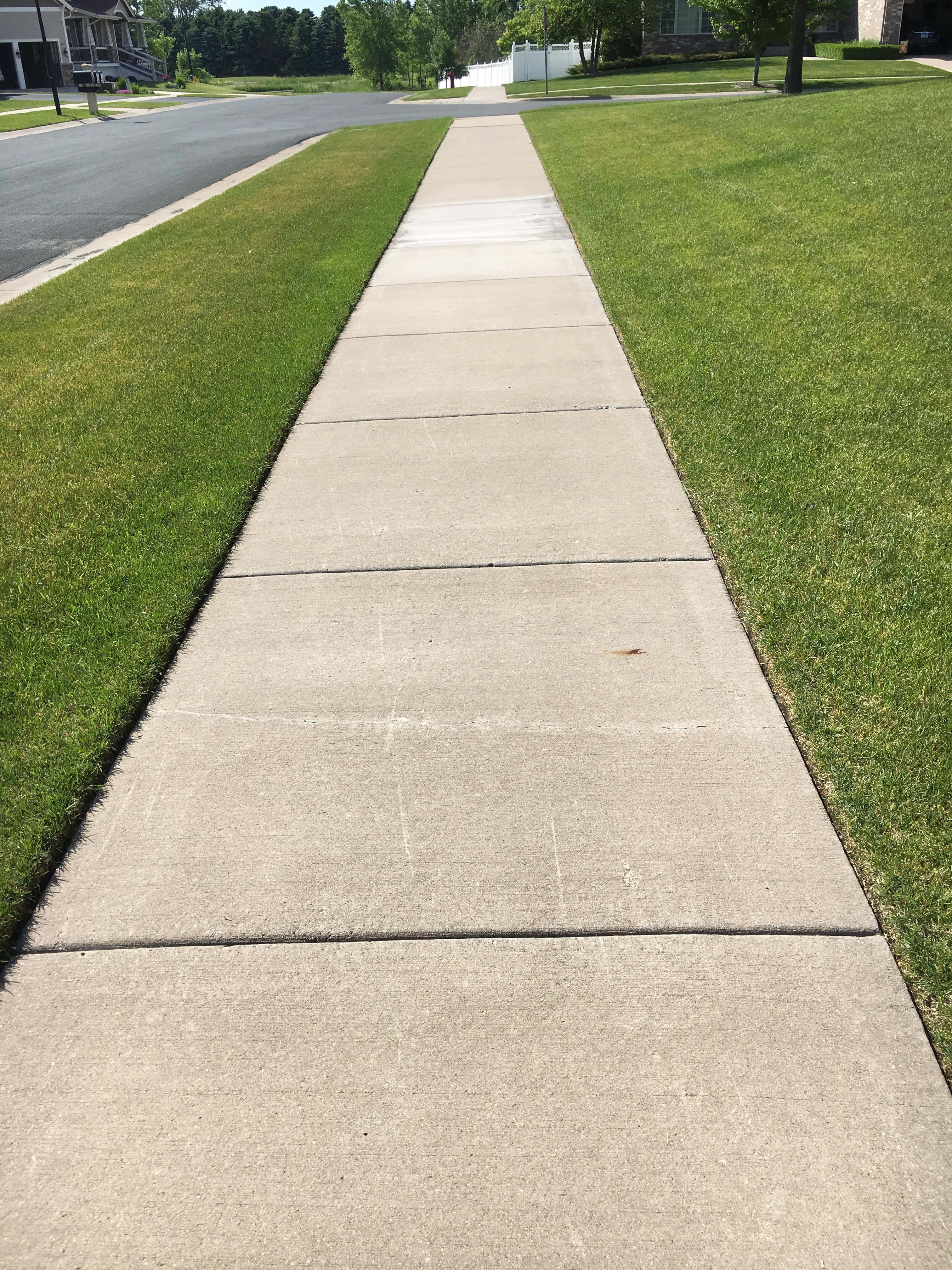 歩道をのんびり散歩 壁紙