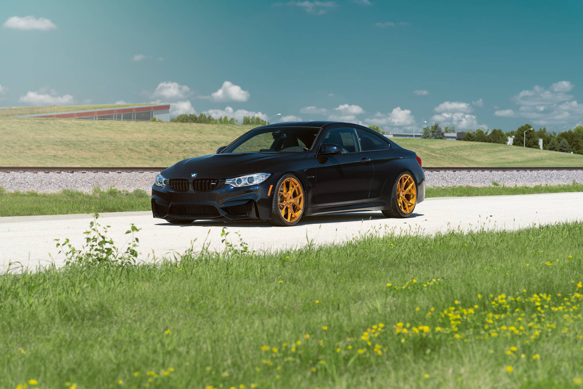 芝生のある道路を走るブラックのBMW M4 F82カーの壁紙