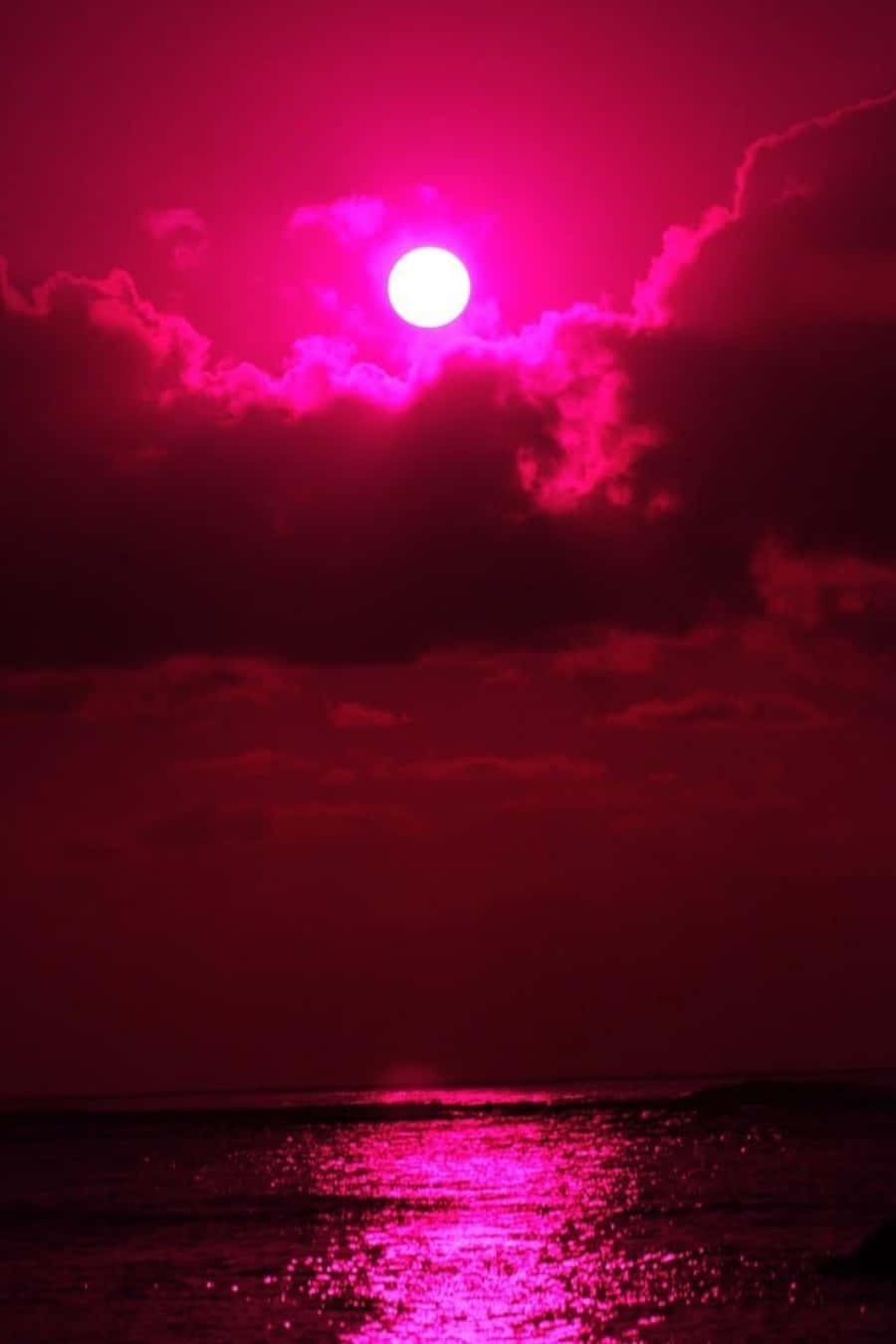 海の上のピンクの太陽 壁紙
