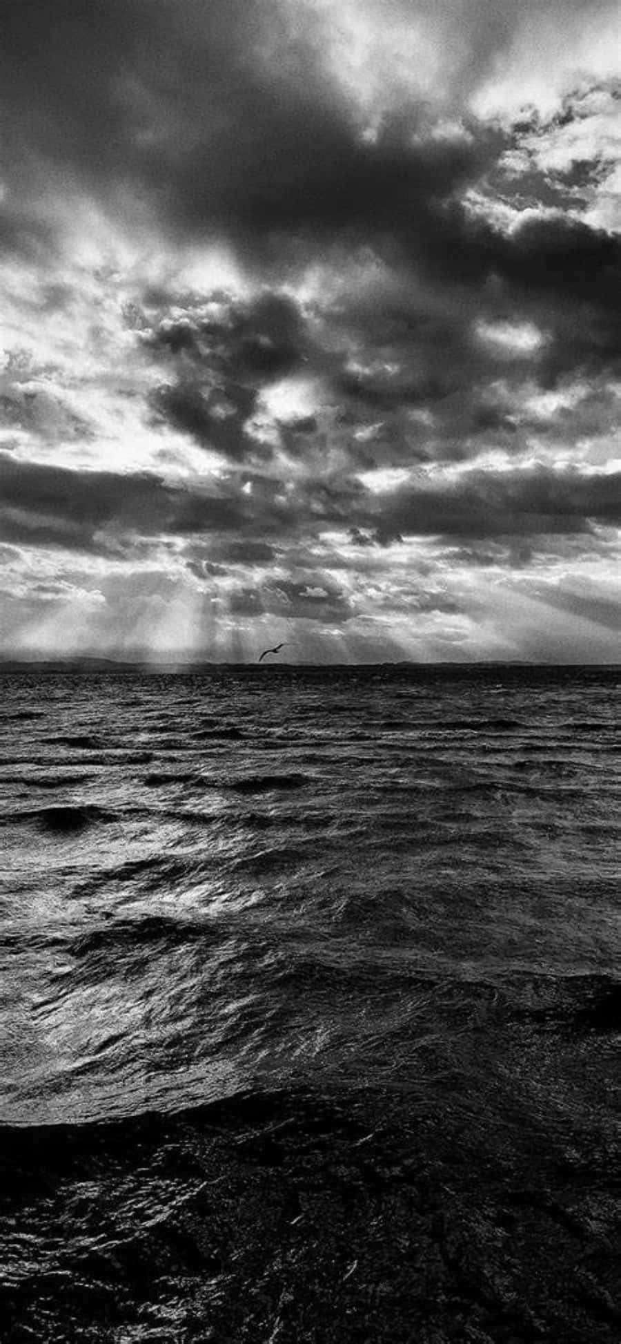 海の上の曇り空の白黒写真 壁紙