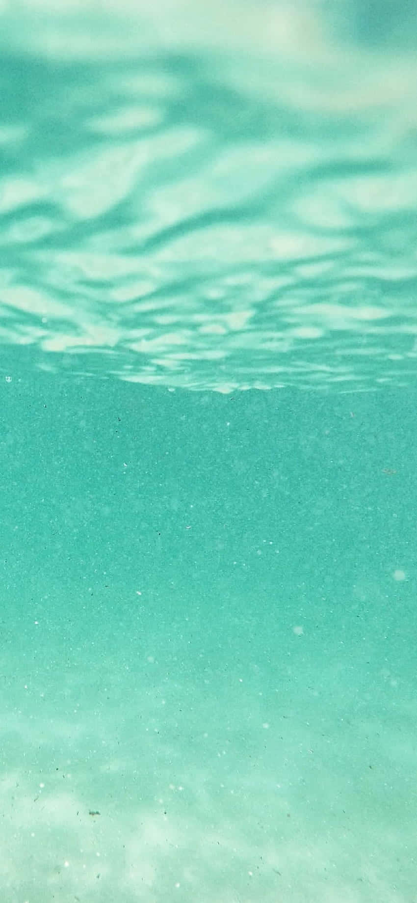 海の中からの眺め 壁紙