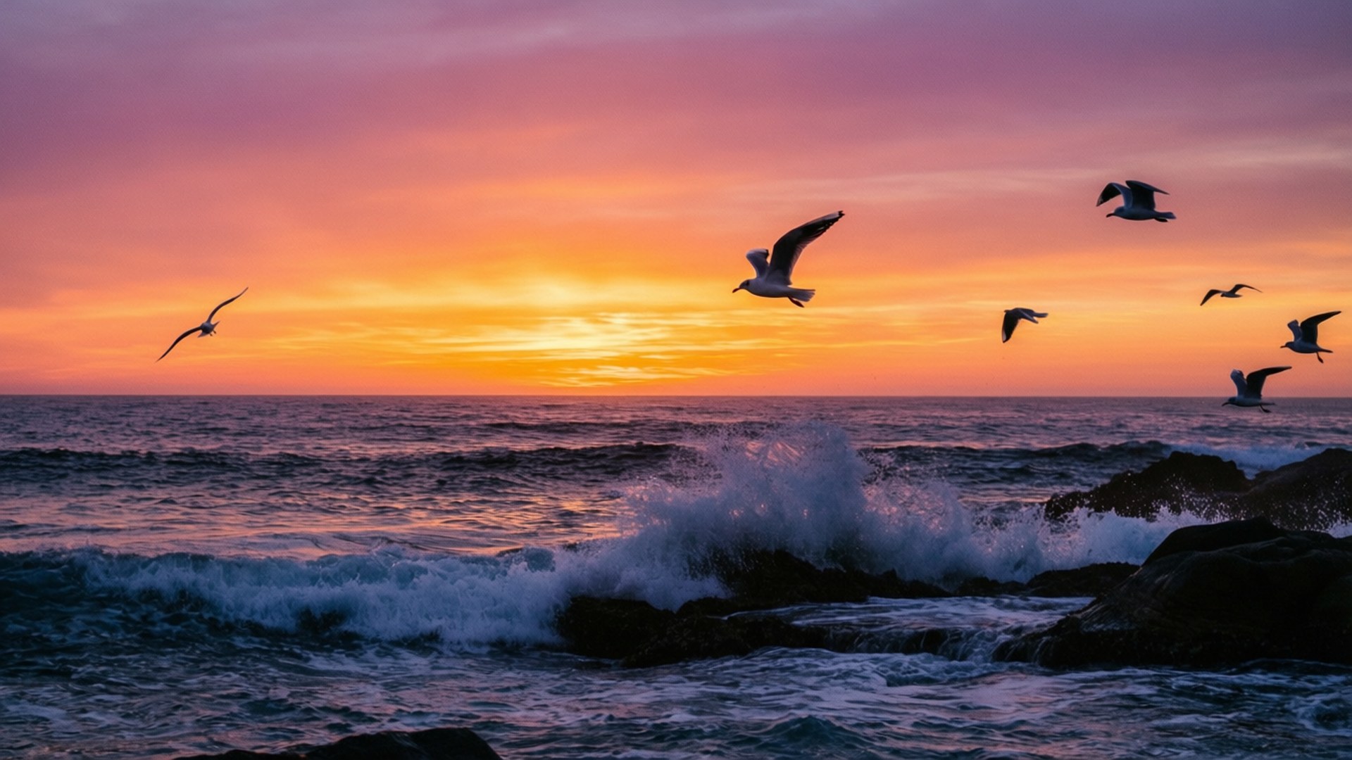 海の夕日シルエット 壁紙