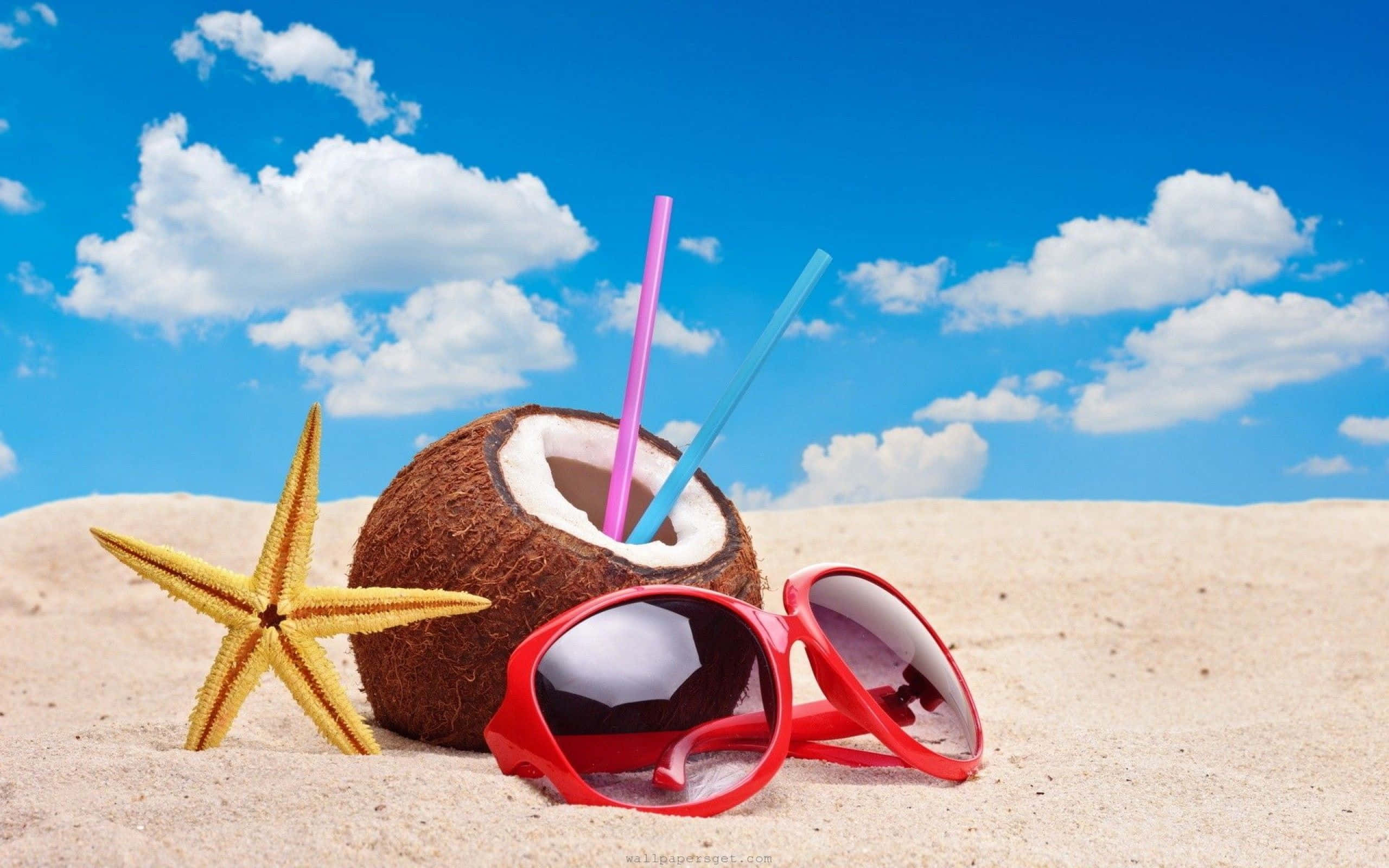 涼しげな夏のココナッツとサングラス 壁紙