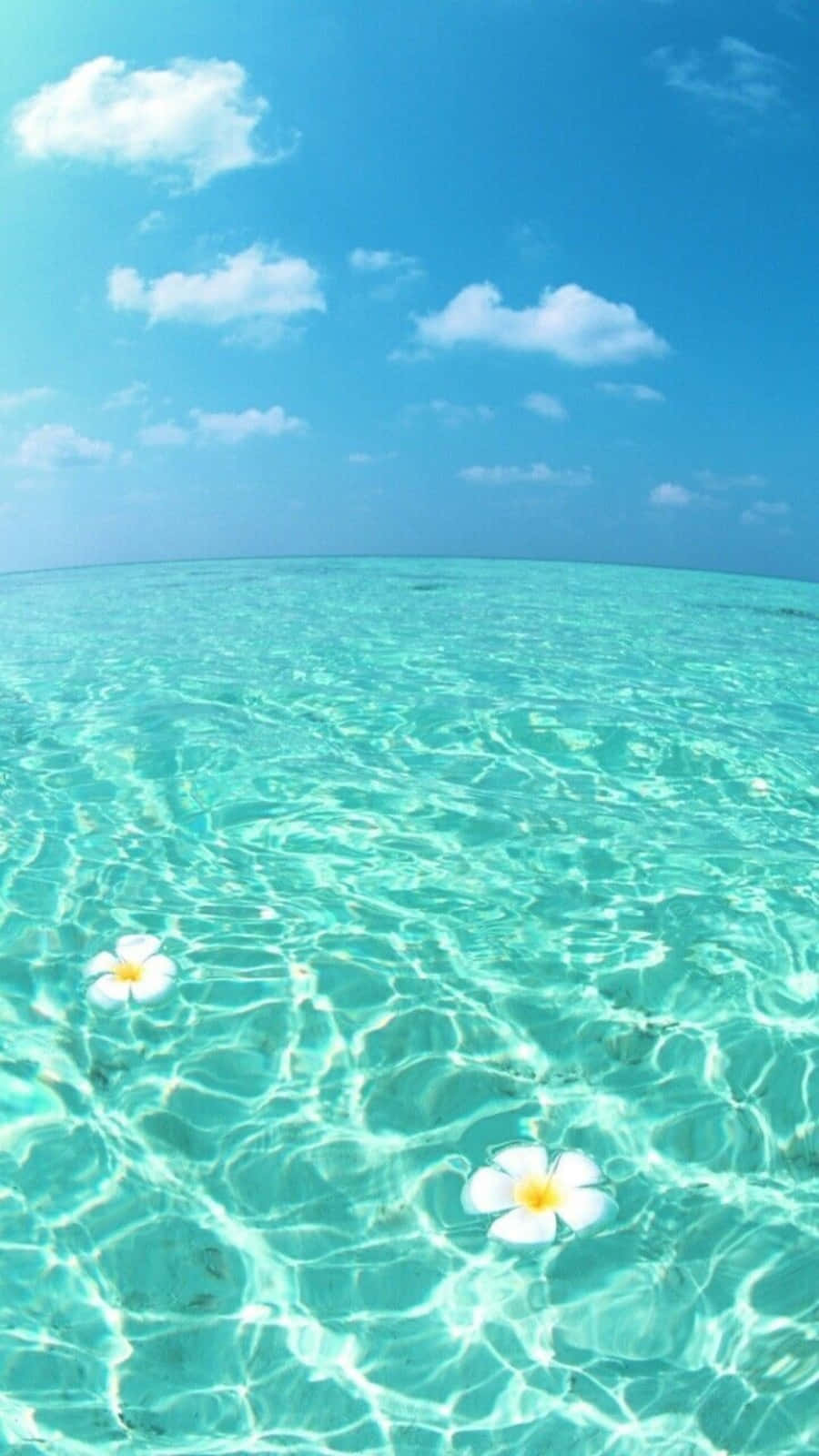 涼しげな夏のターコイズブルーの海 壁紙
