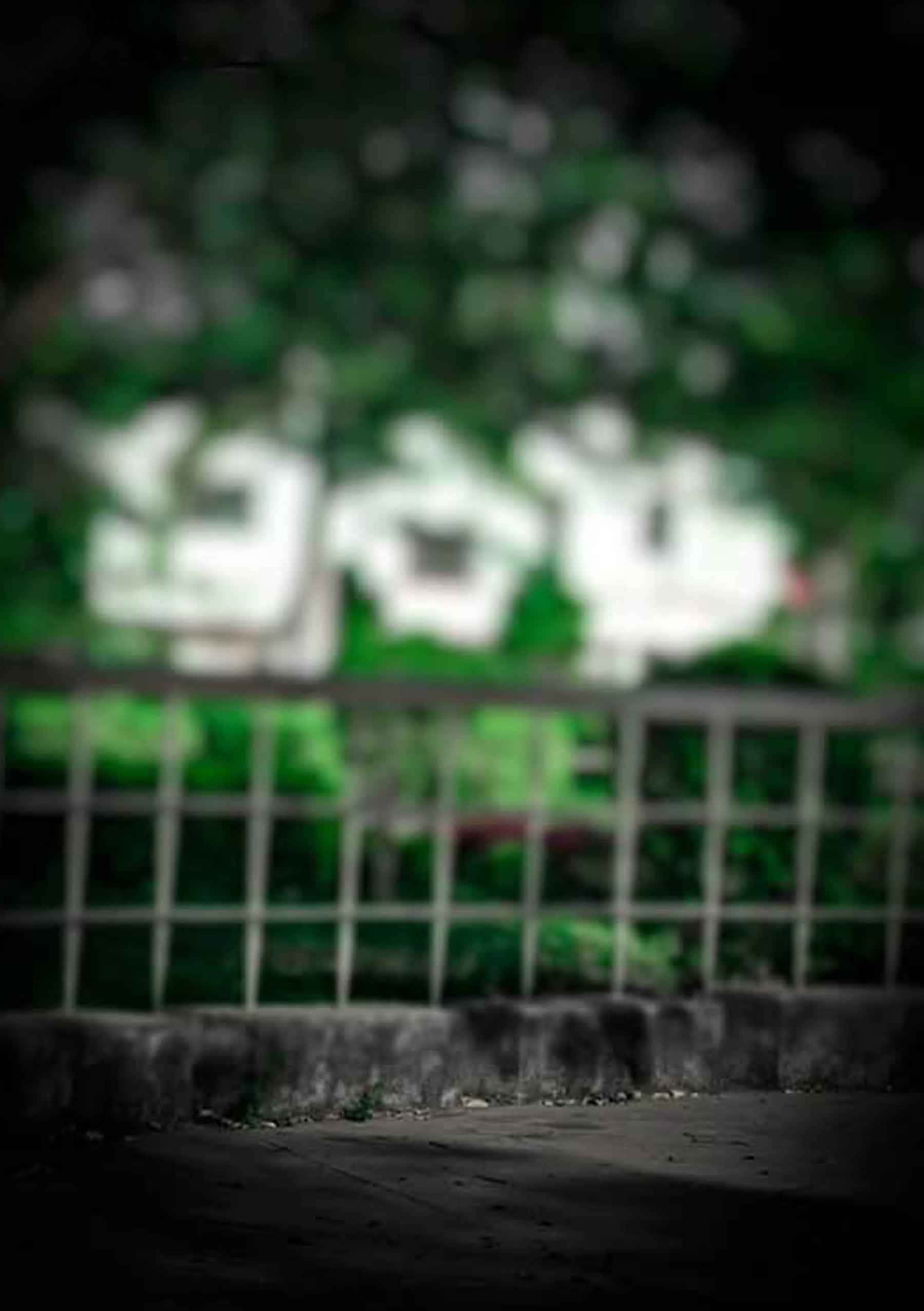 深緑の神秘的な深み 壁紙