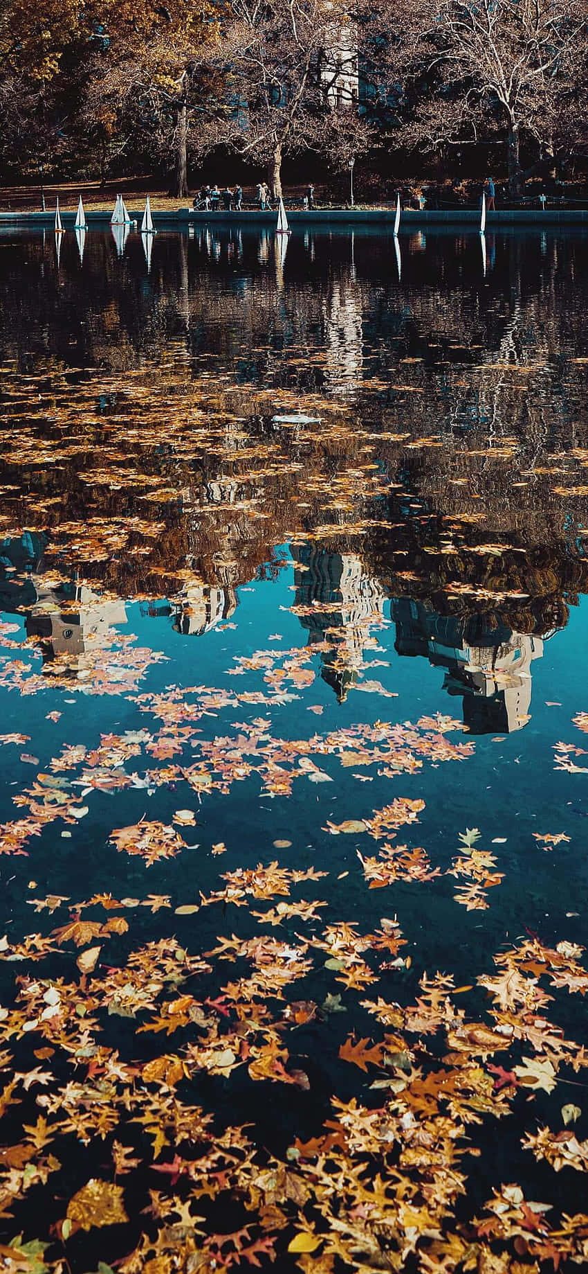 湖に映る紅葉 壁紙