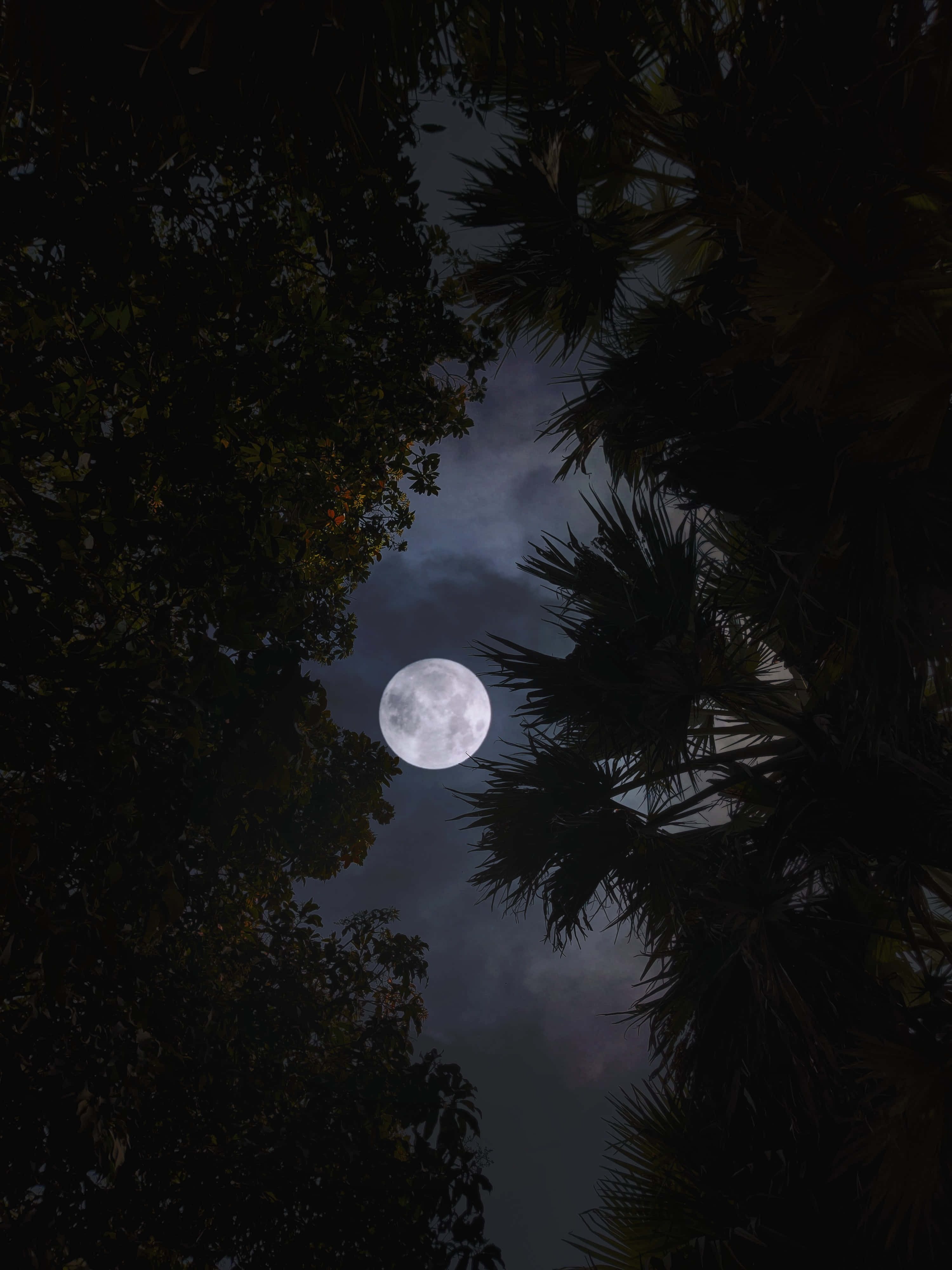 満月が照らす穏やかな夜空 壁紙