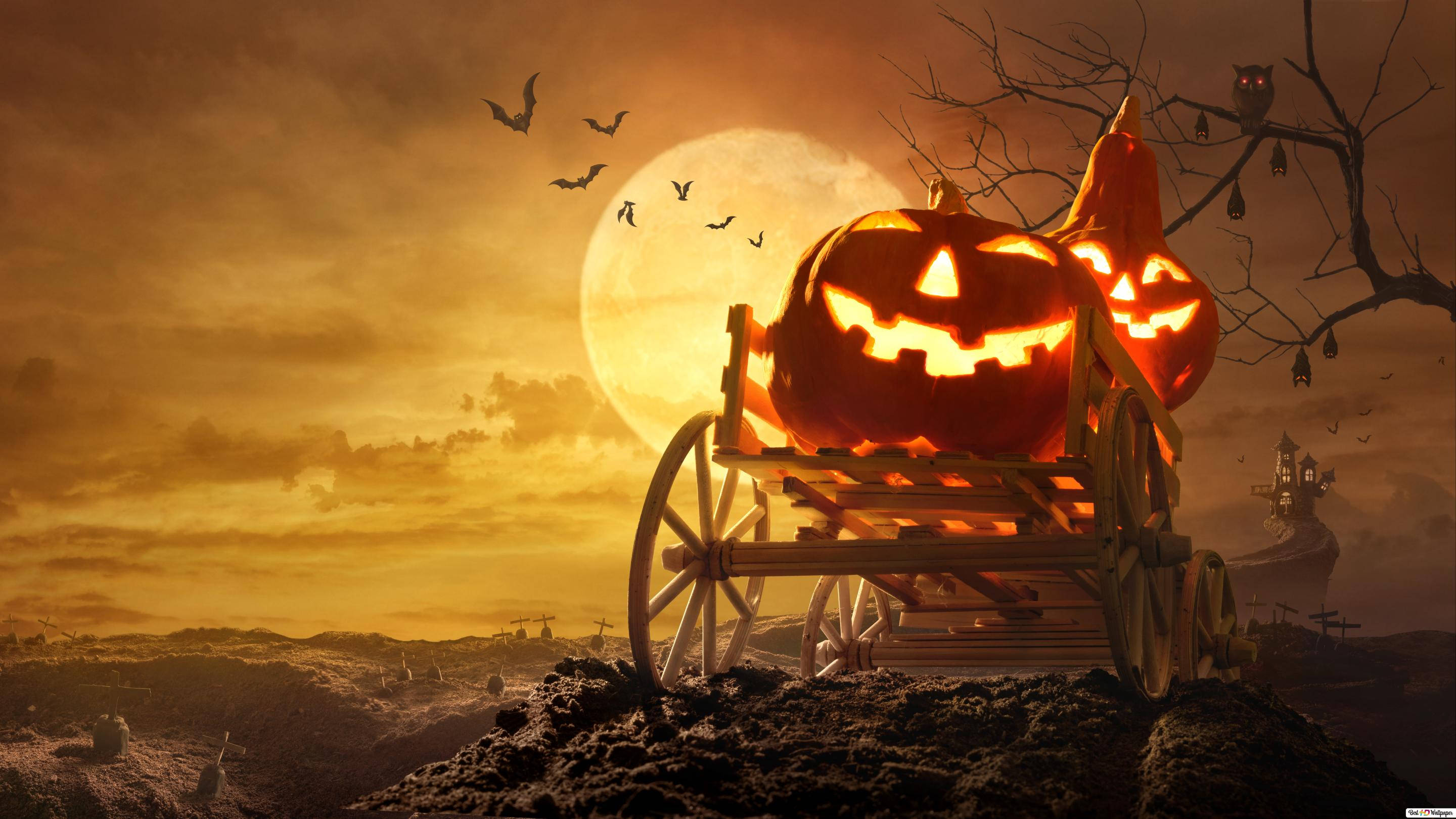満月とカボチャのハロウィンiPhone壁紙 壁紙