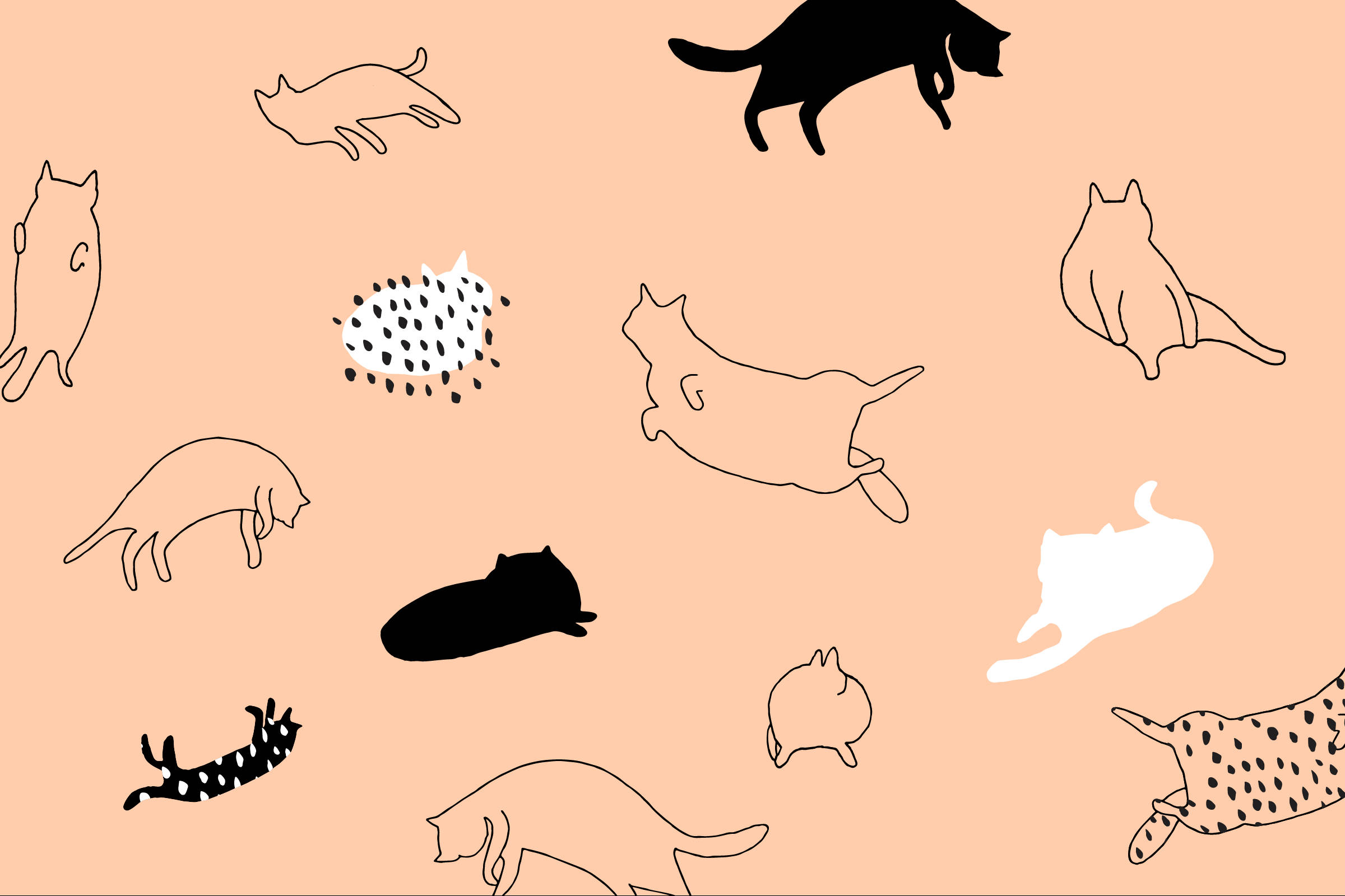 漫画風猫のミニマルアート 壁紙