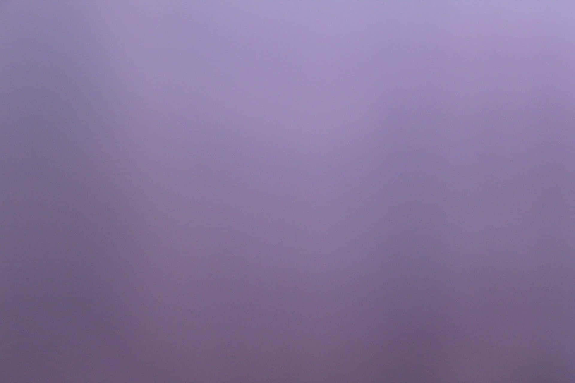 無地の紫の背景 壁紙