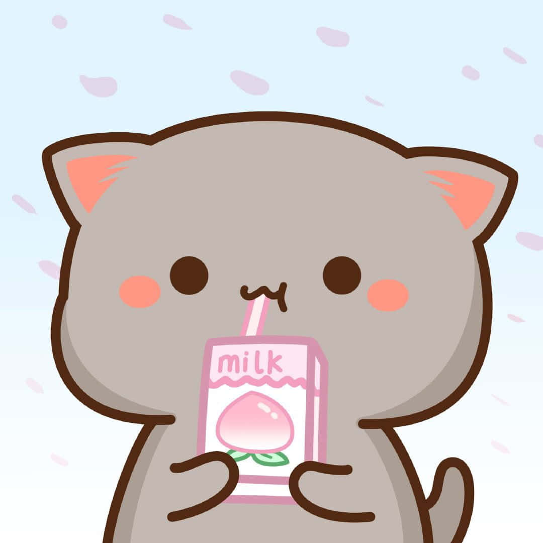 牛乳パックからミルクを飲む猫 壁紙