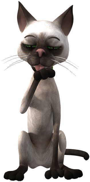 物思いにふけるシャム猫のイラスト 壁紙