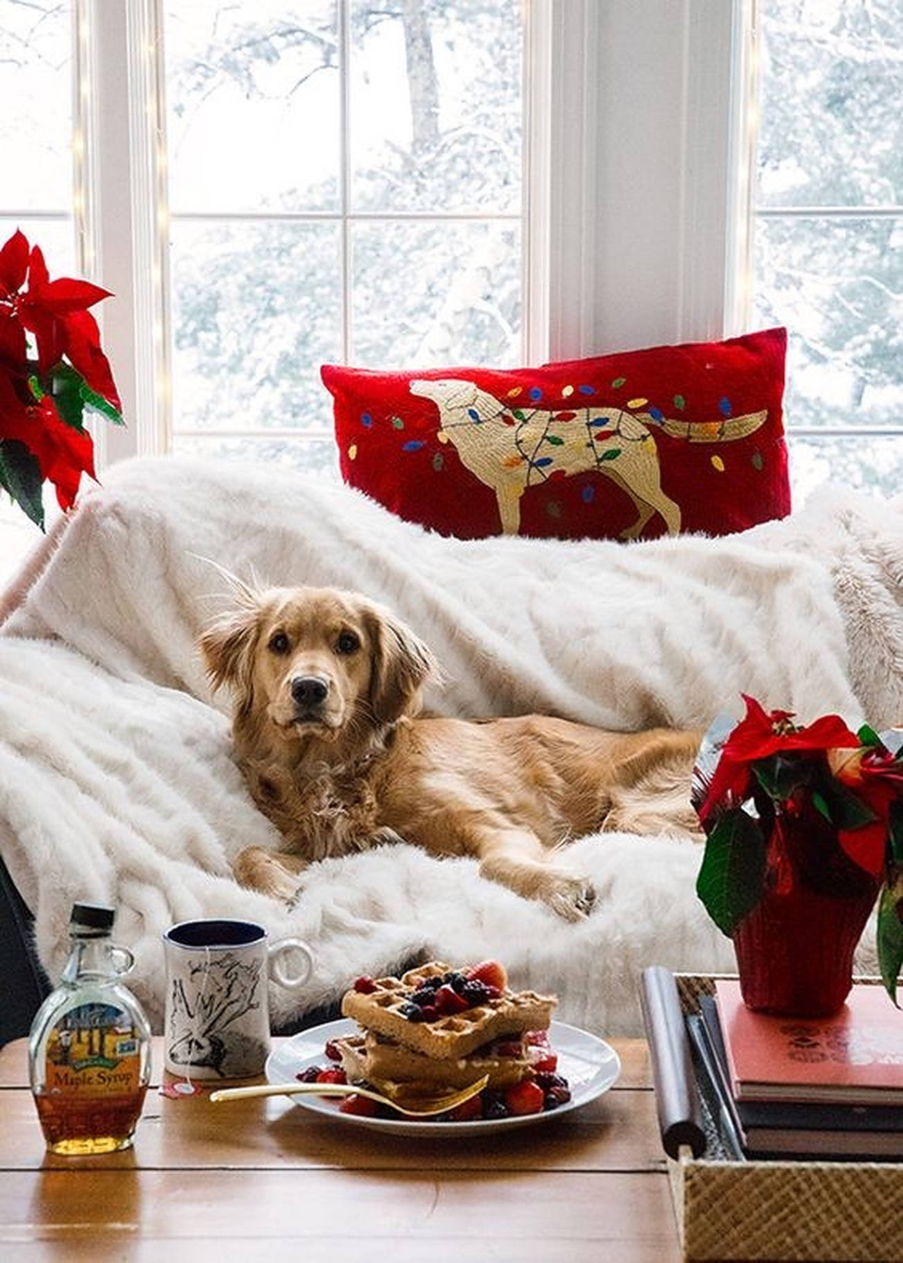 犬がクリスマスソファで過ごす居心地の良い風景 壁紙