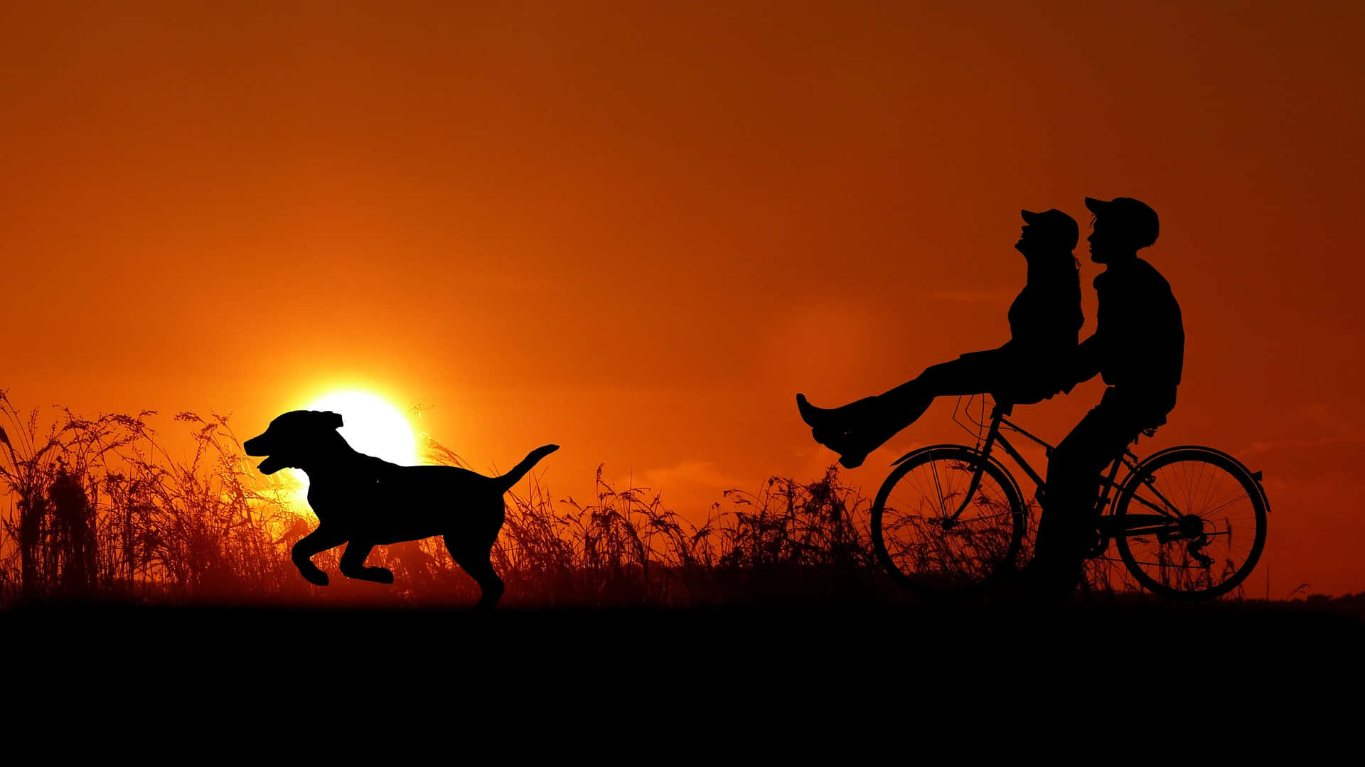 犬と一緒にサイクリングするカップルの風景写真 壁紙