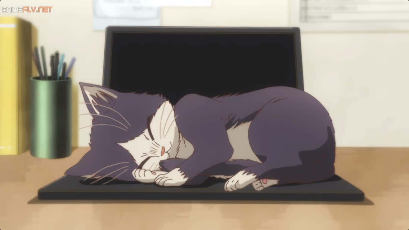 猫と一緒に読書を楽しむ男性の心温まるひととき 壁紙