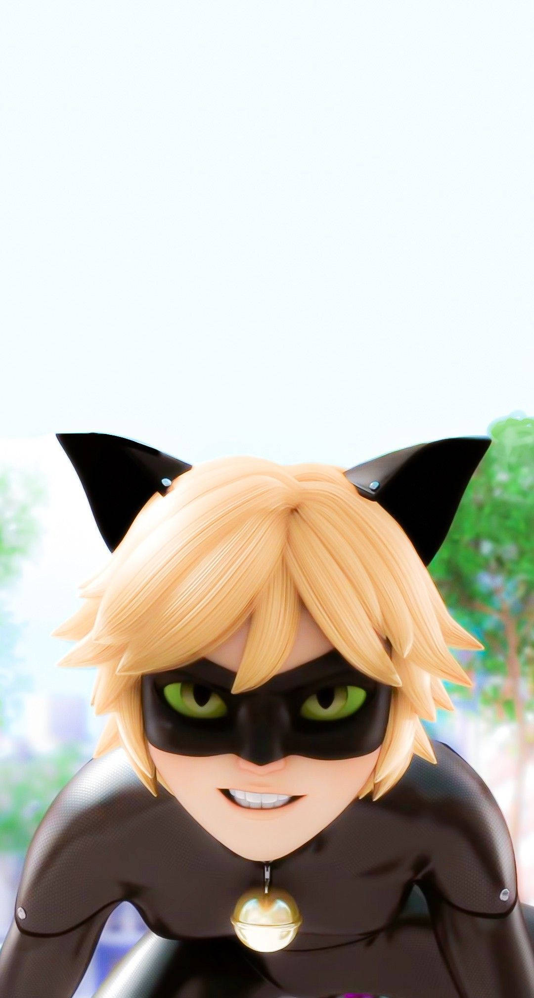 猫ノワールの鋭い眼差し 壁紙