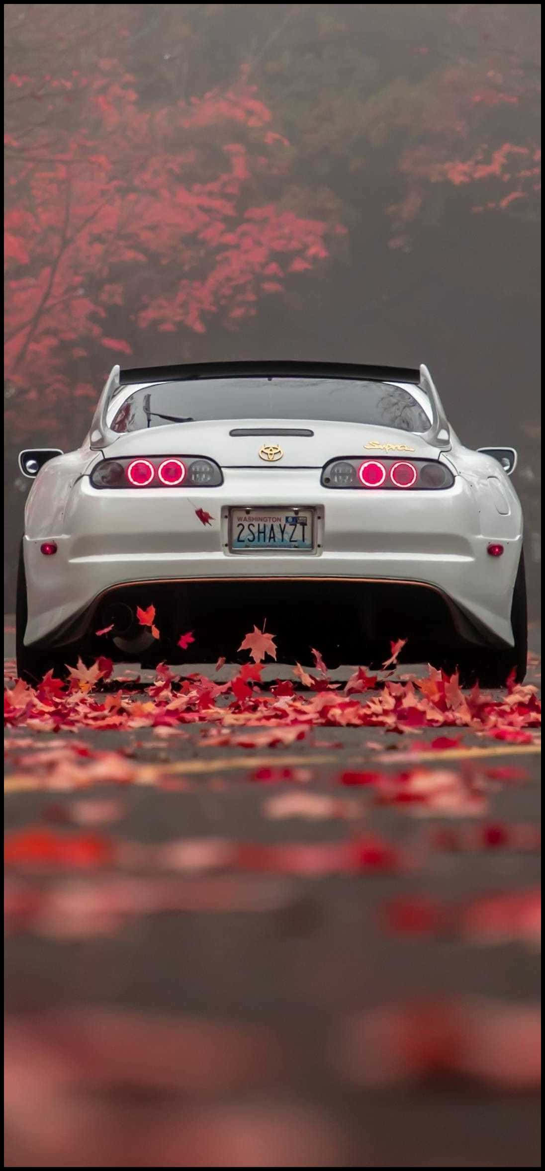 白いスポーツカーが紅葉の野原の真ん中に停まっている 壁紙