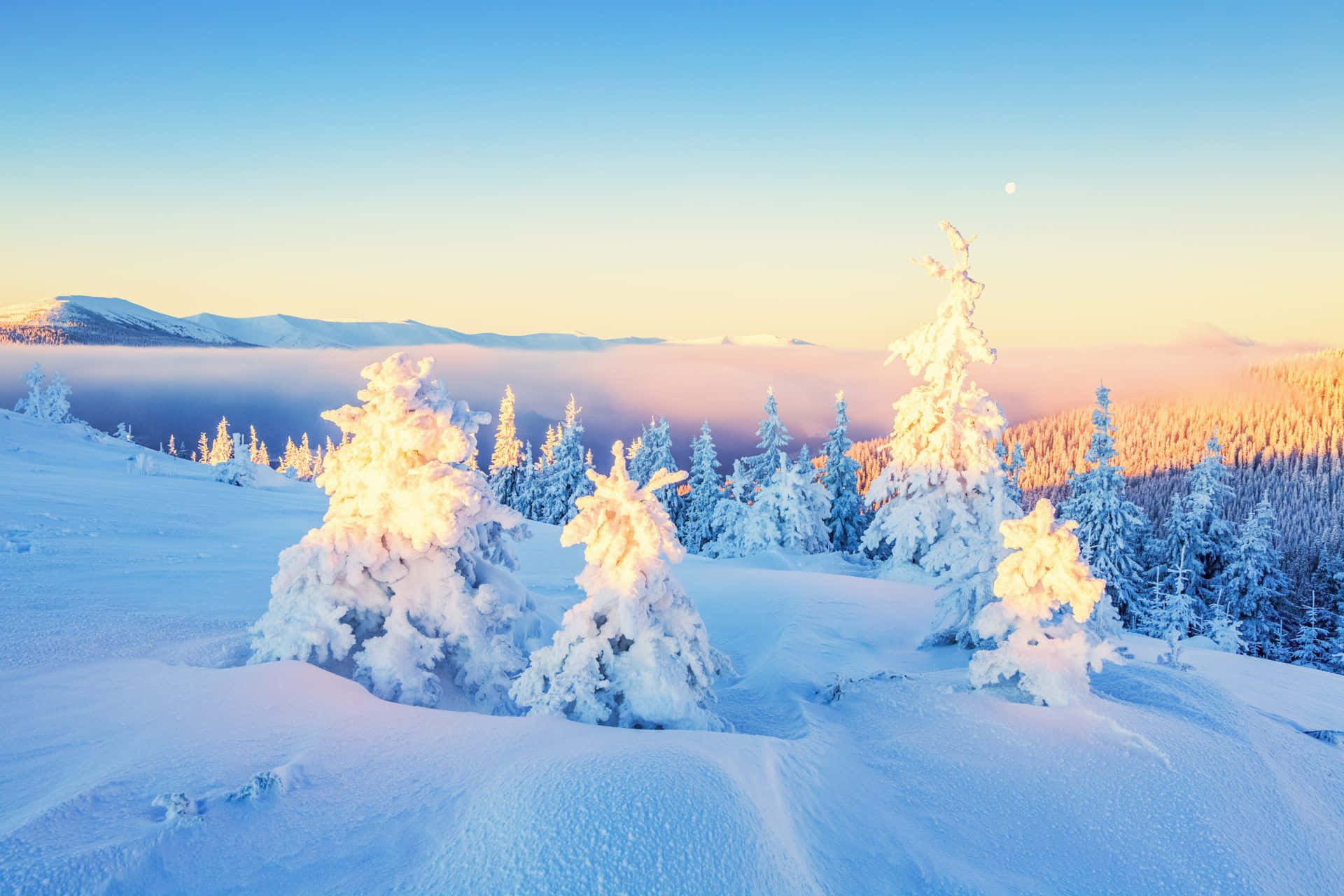 白い山の冬のワンダーランド背景 壁紙