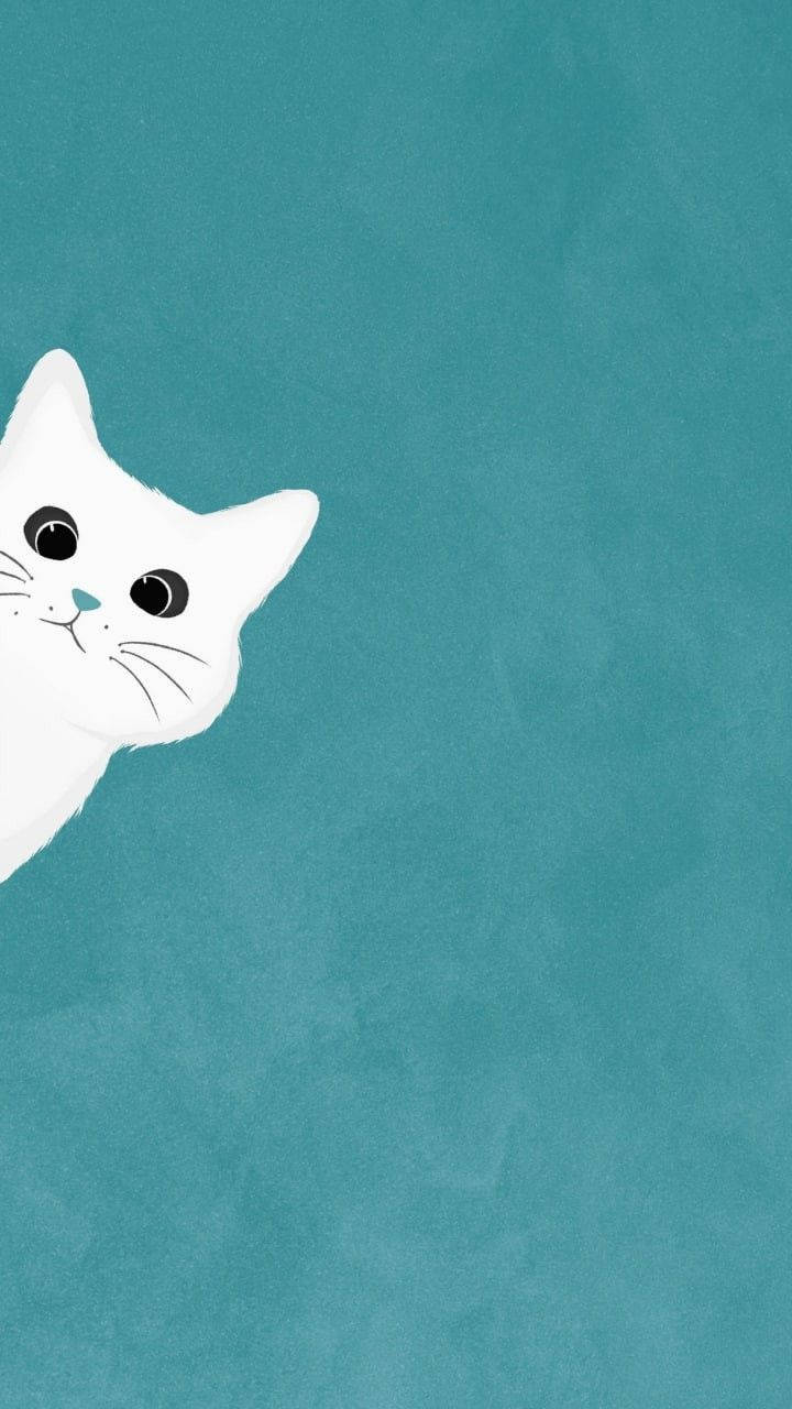 白い猫が覗くシンプルな美しい壁紙 壁紙
