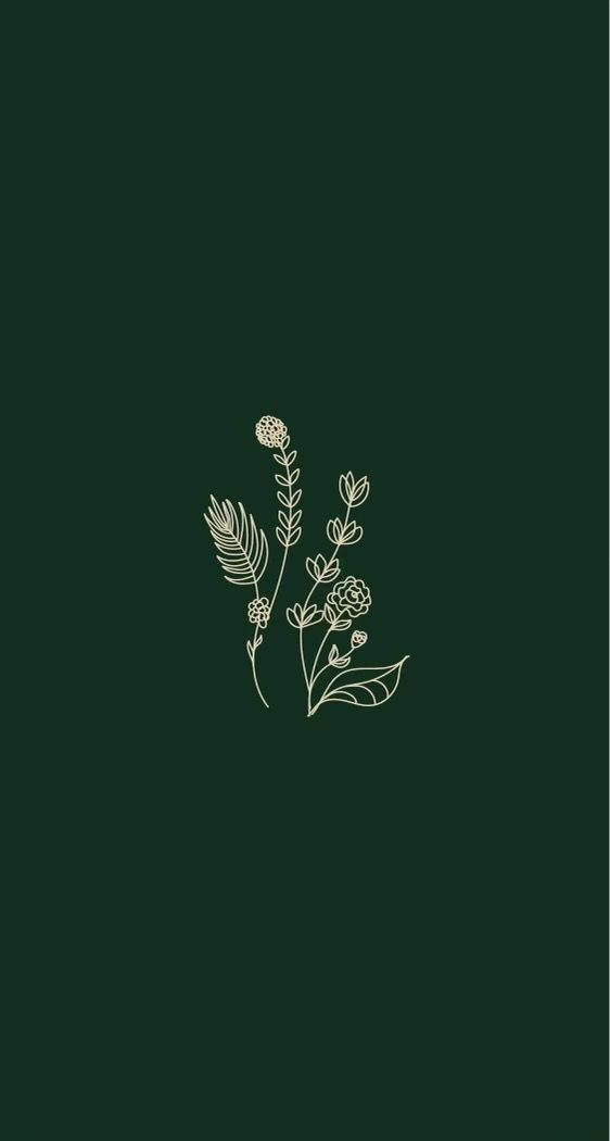 白い花の植物 シンプルな美的 壁紙