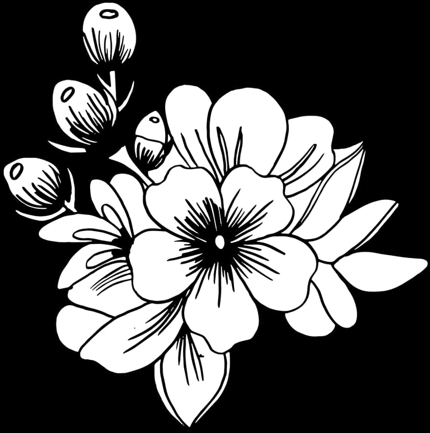 白黒の花のイラスト 壁紙