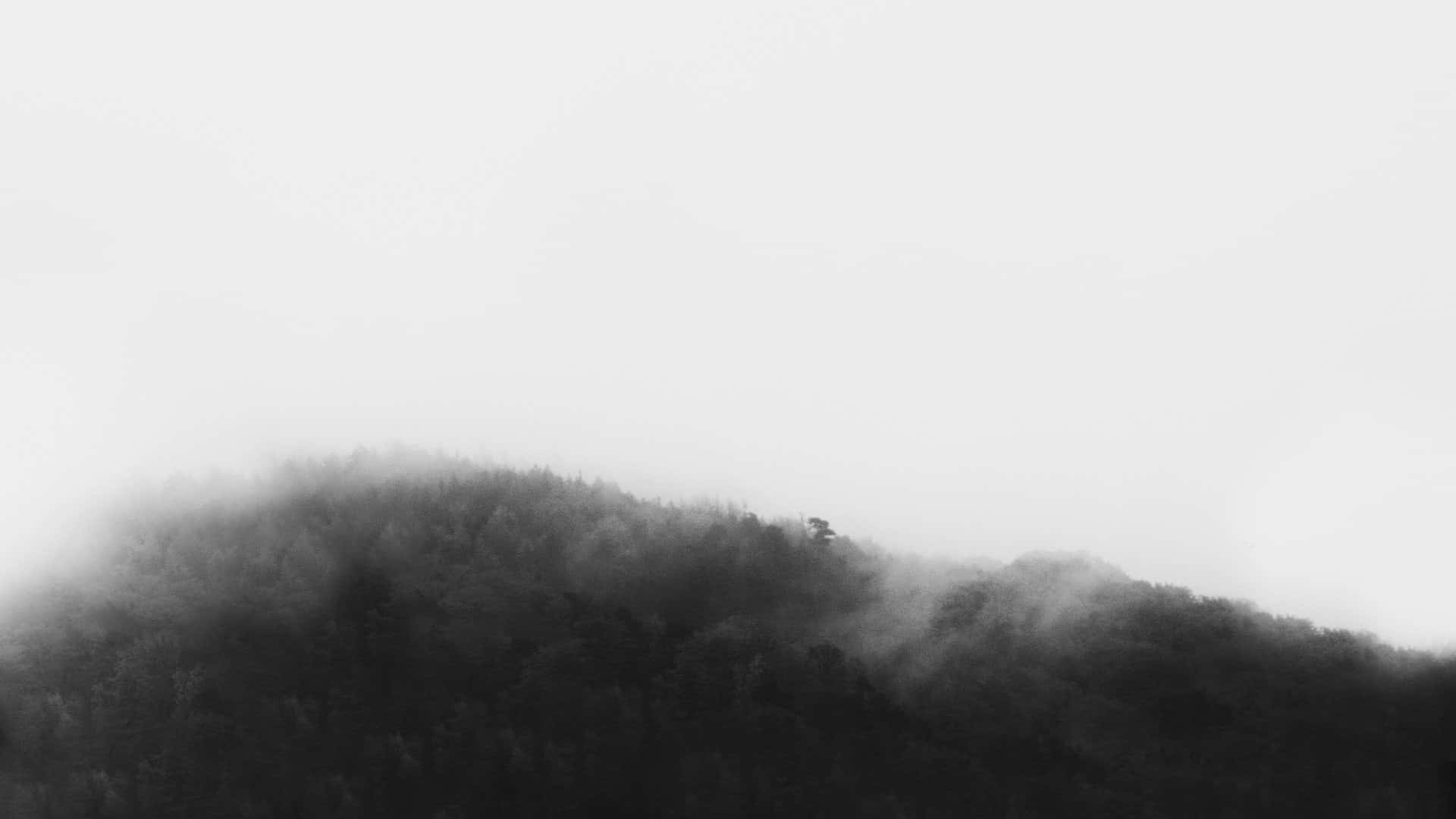 白黒写真の霧に覆われた山 壁紙