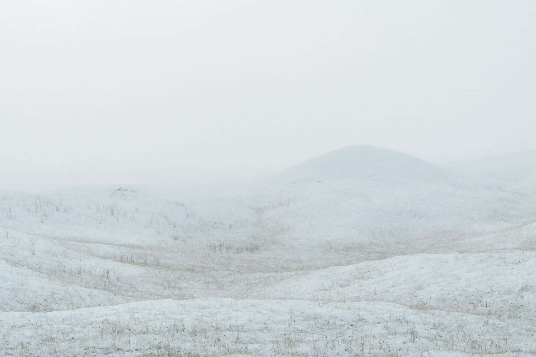 真っ白な雪が作り出す静かな風景。 壁紙