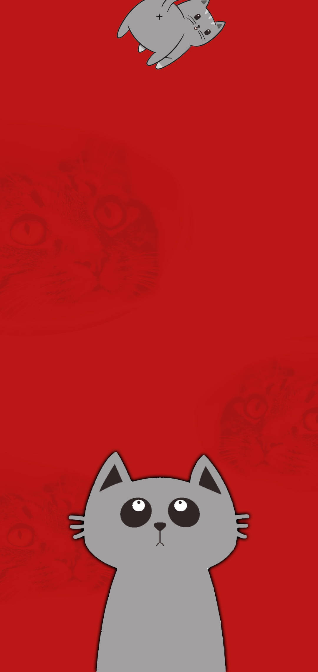 真ん中に穴が開いた子猫の壁紙 壁紙