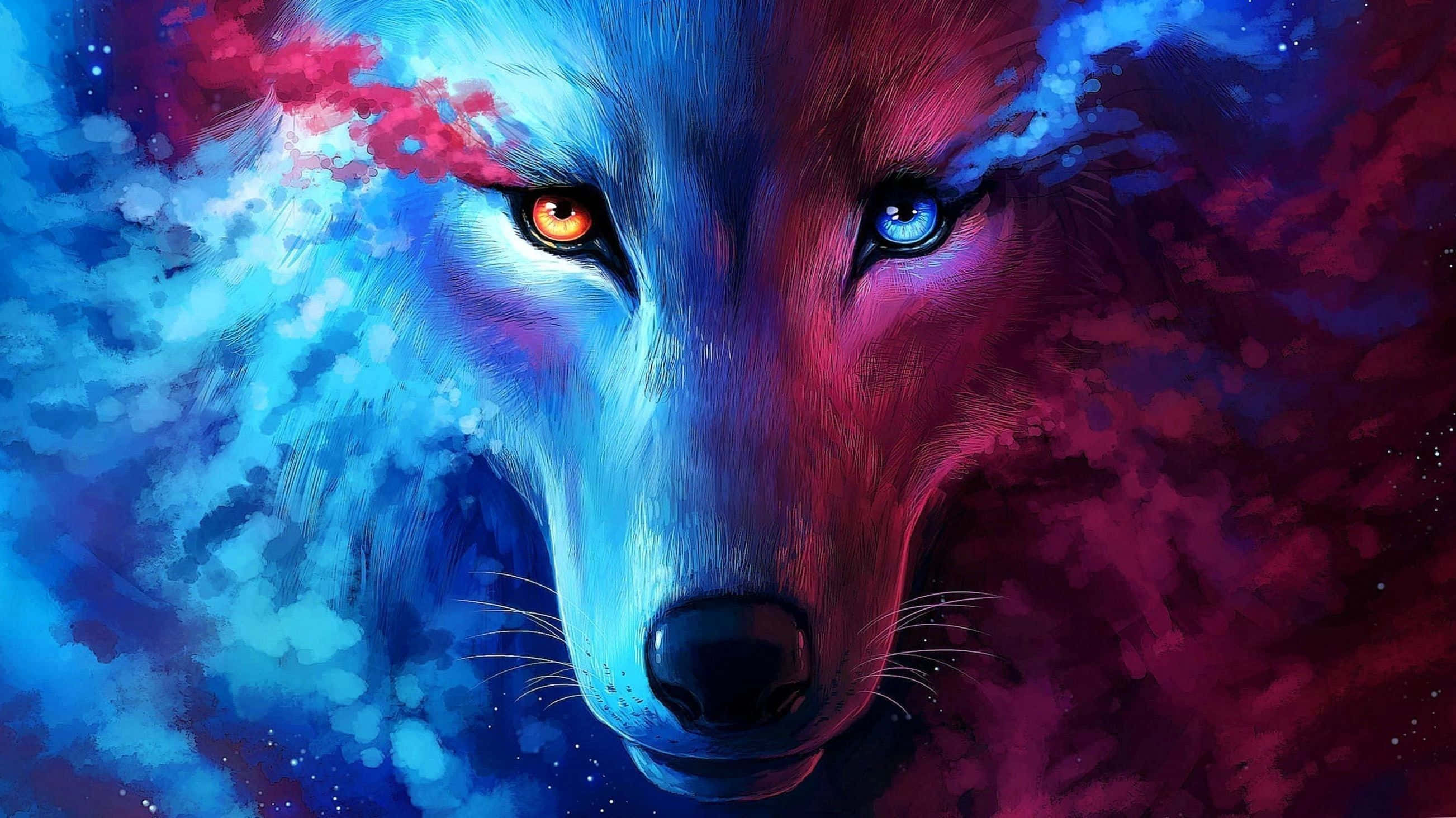 真夜中の空の美しさを、優雅な銀河の狼とともに。 壁紙