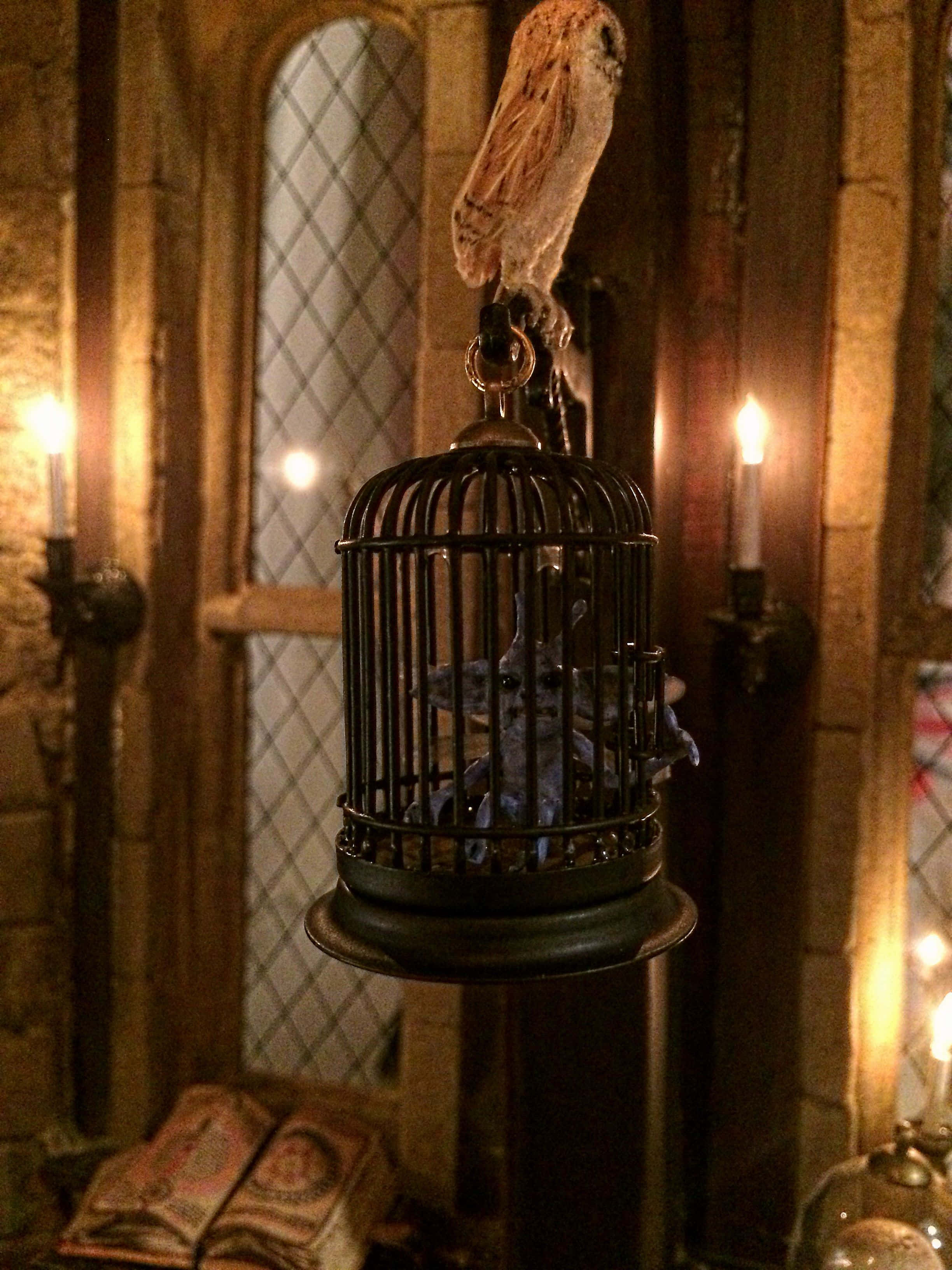 神秘のホグワーツ・闇の魔術教室を巡る旅 壁紙