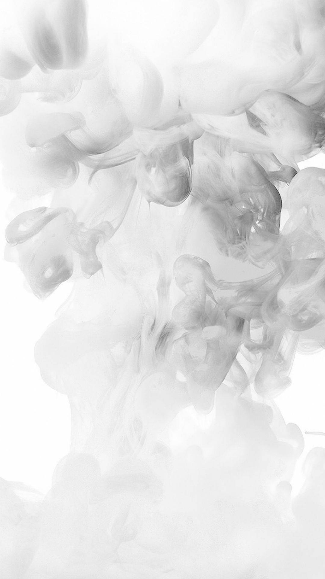 神秘的な白い霧 壁紙