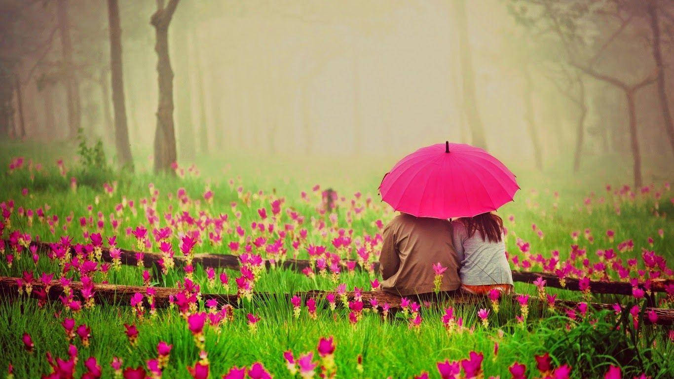 私の愛 地面に座る花々 壁紙