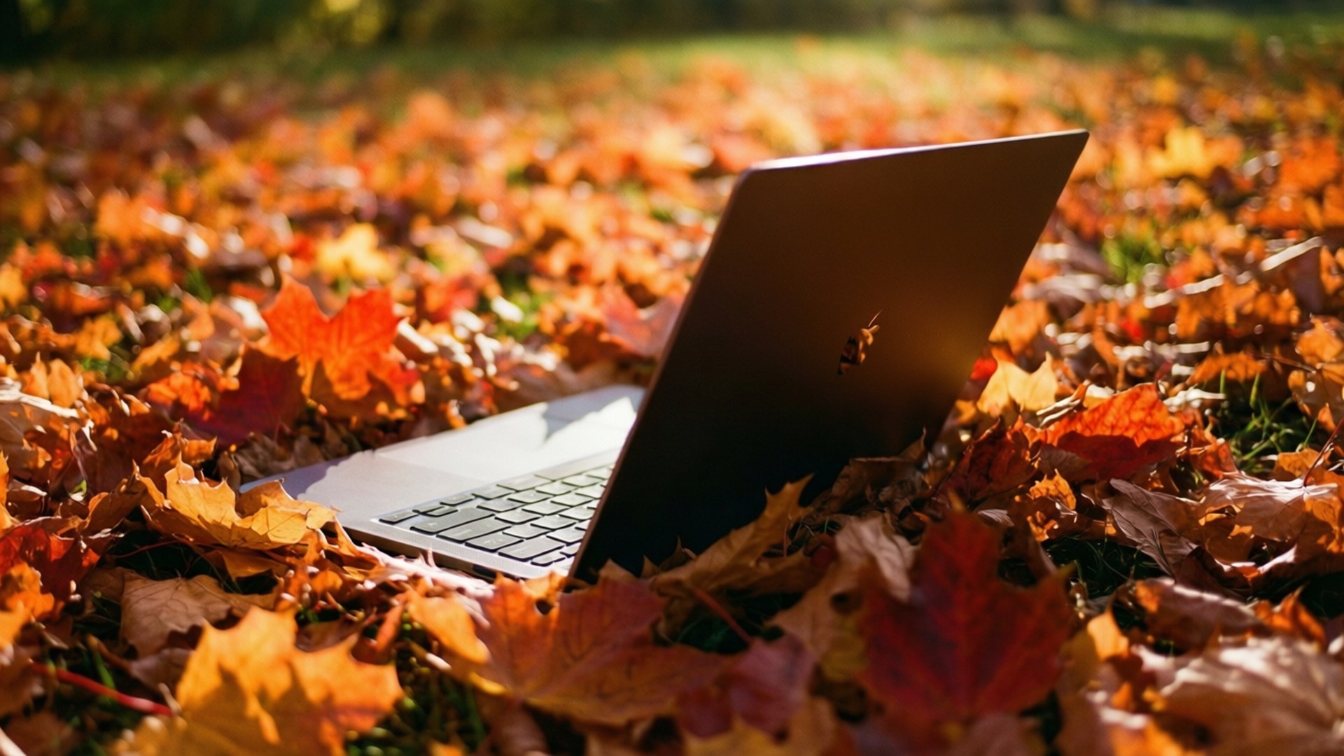 秋のChromebook 心地よい風景 壁紙