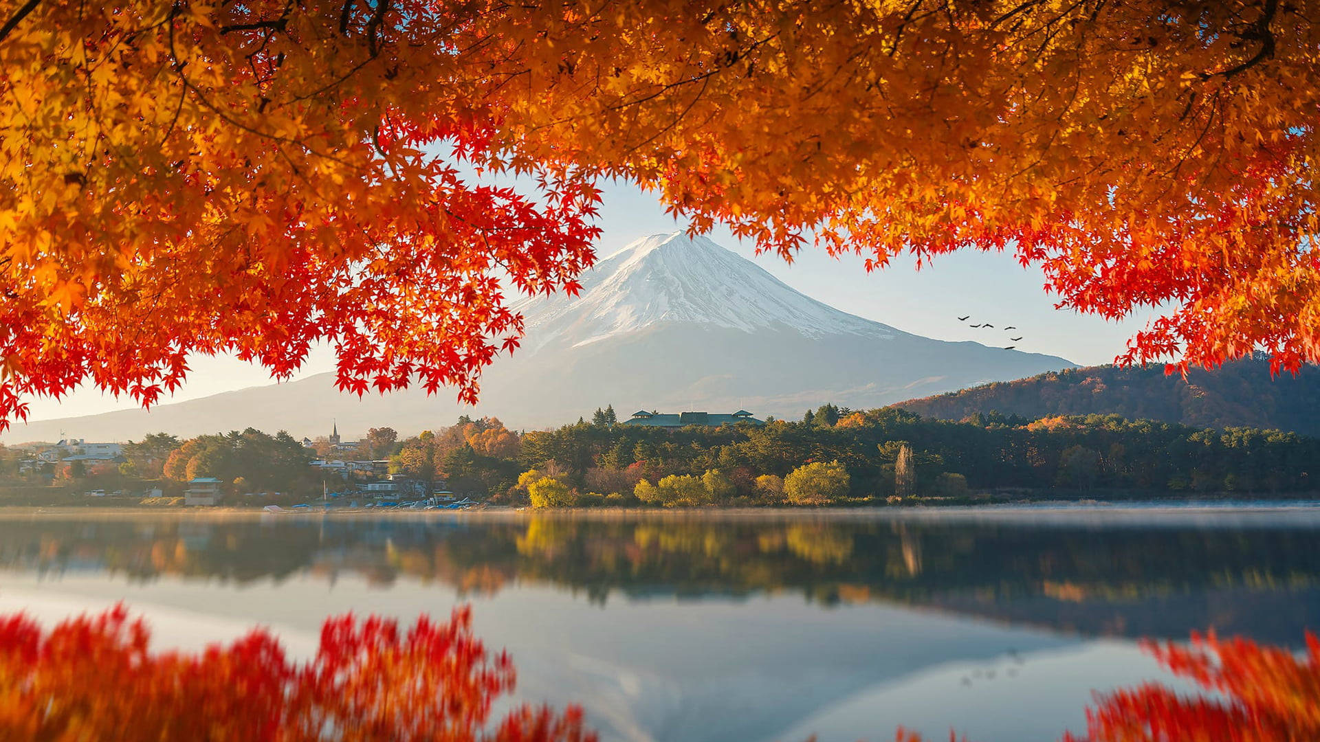 秋のMacBook 富士山 壁紙