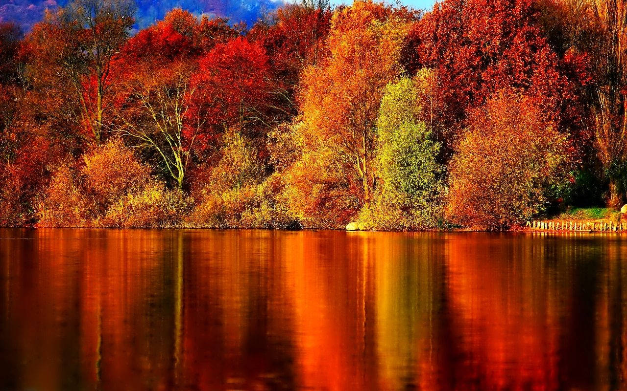 穏やかな紅葉の湖畔を散歩 壁紙