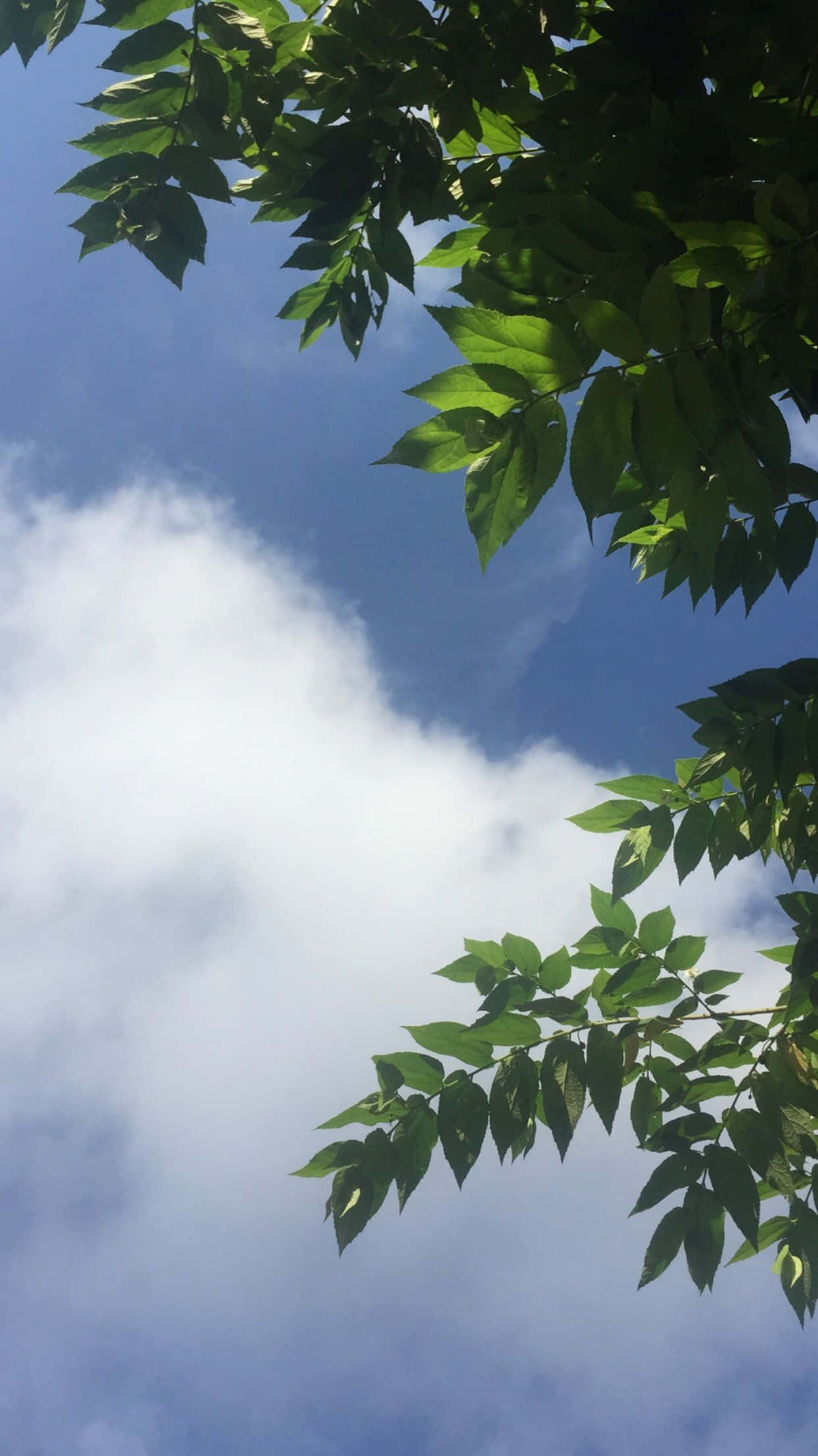 「空の美的美しさ」 壁紙