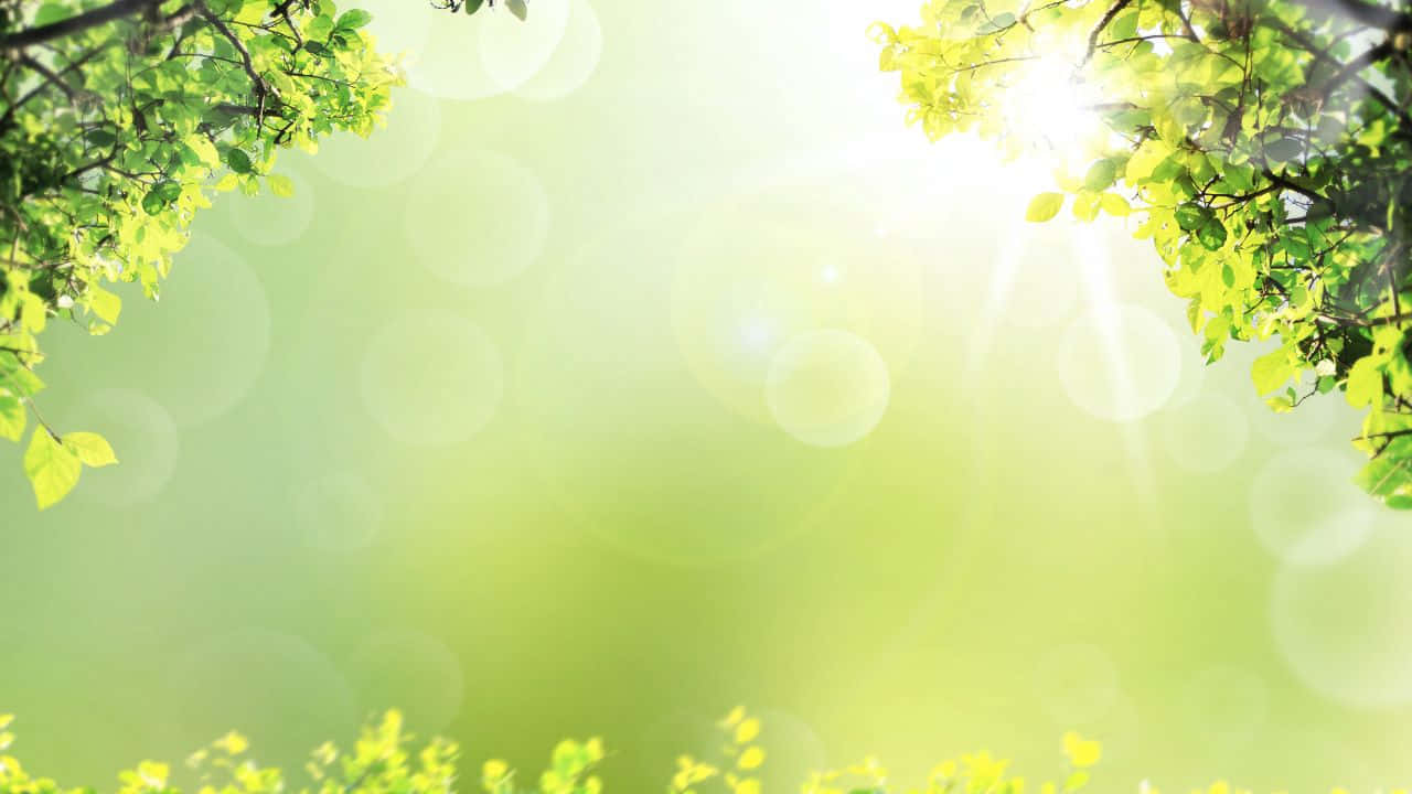 空中から見た果てしないビーチの絶景 壁紙