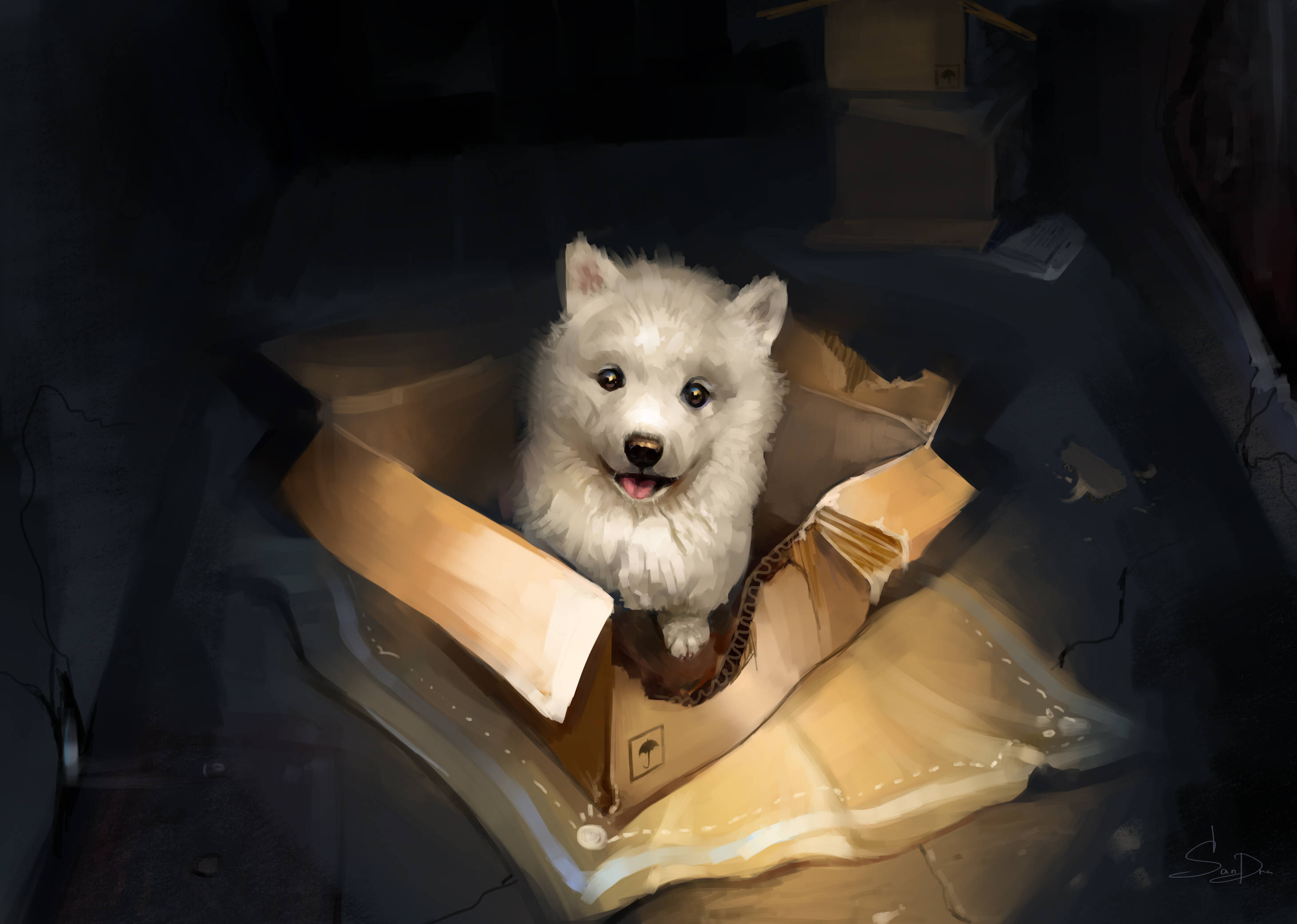 箱の中の白い可愛い子犬 壁紙