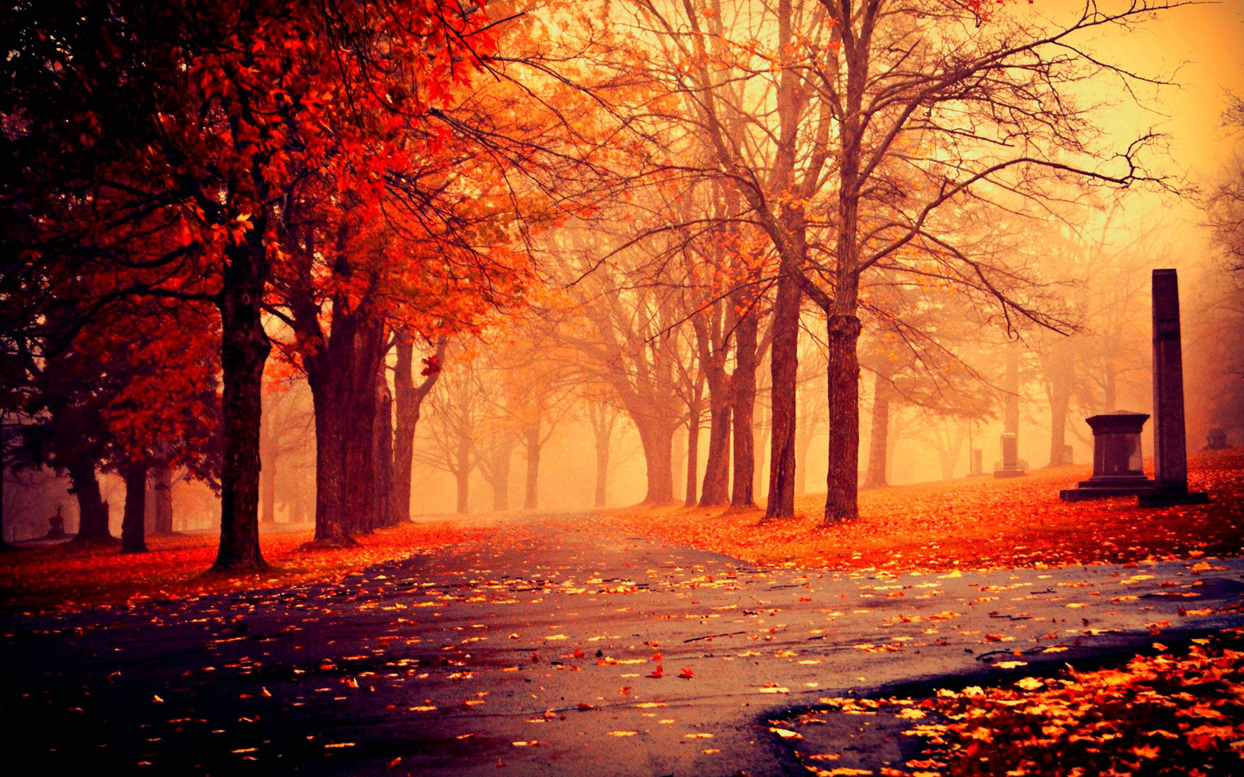 紅の秋景色 壁紙