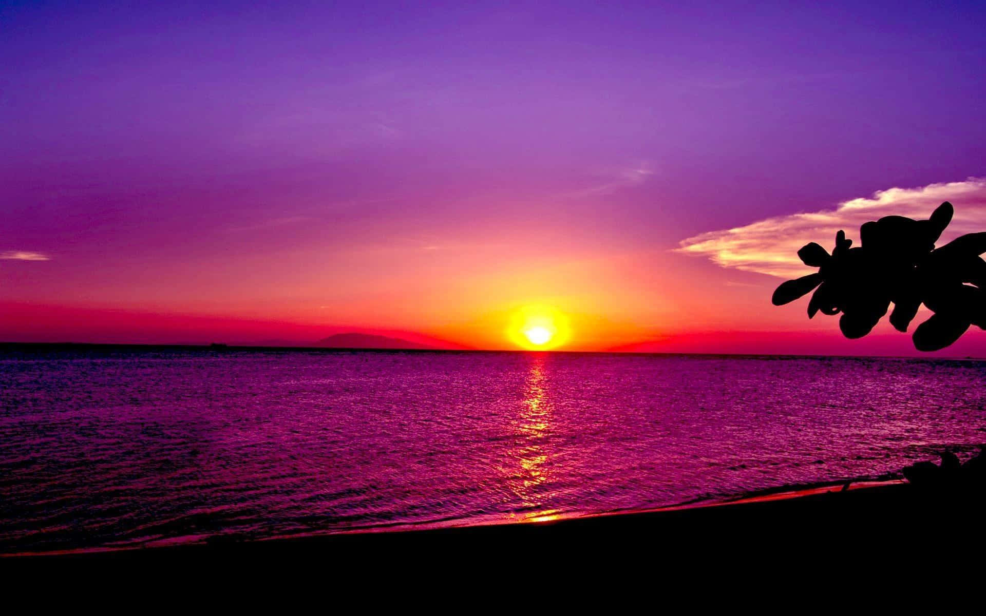 紫色の夕日壁紙 壁紙