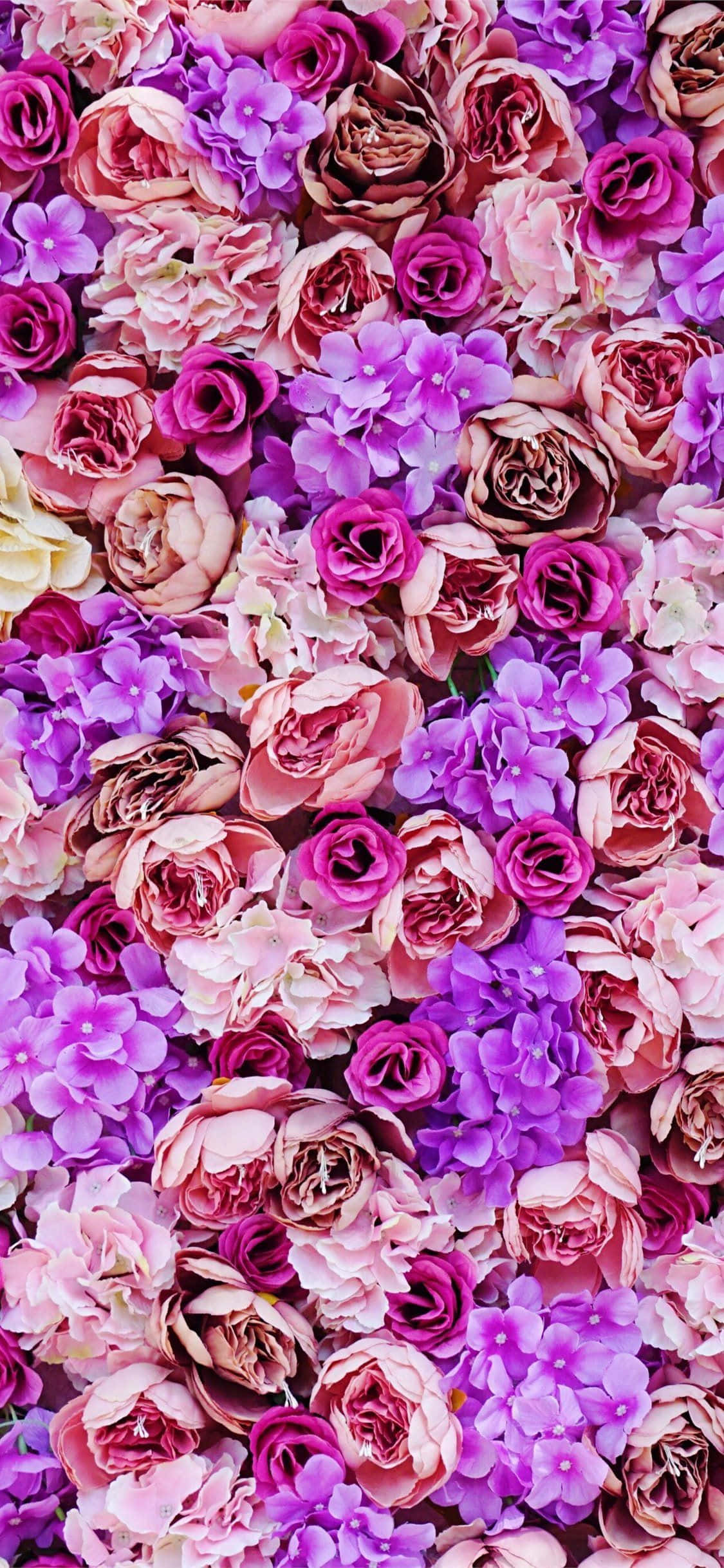 紫色の花の美しさ 壁紙