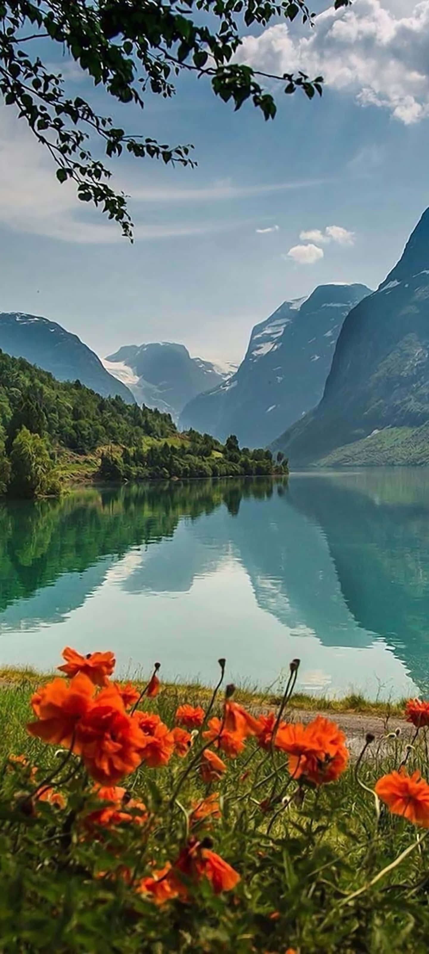 絵になるビーチの隠れ家 壁紙