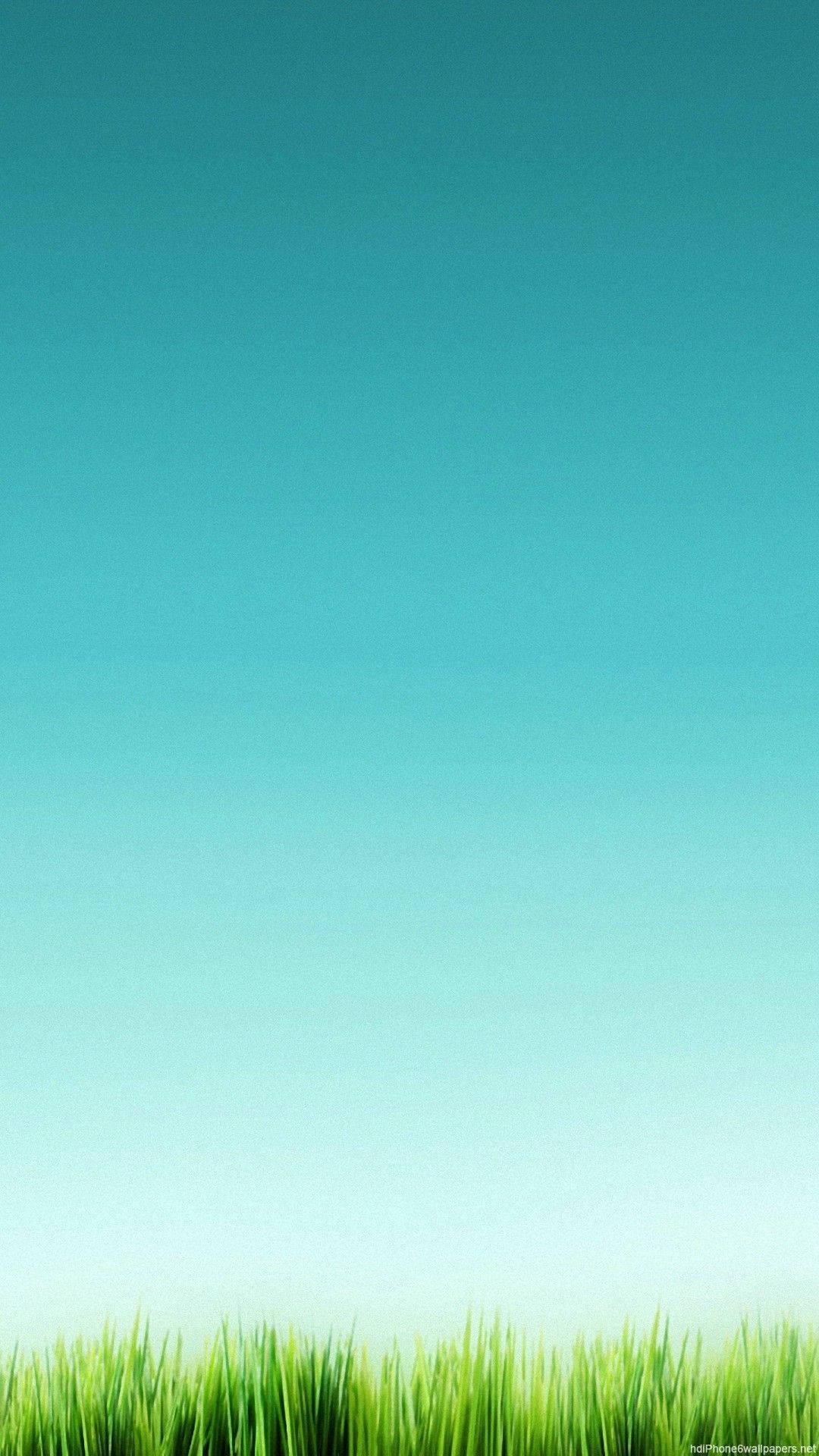 緑の空と草 壁紙