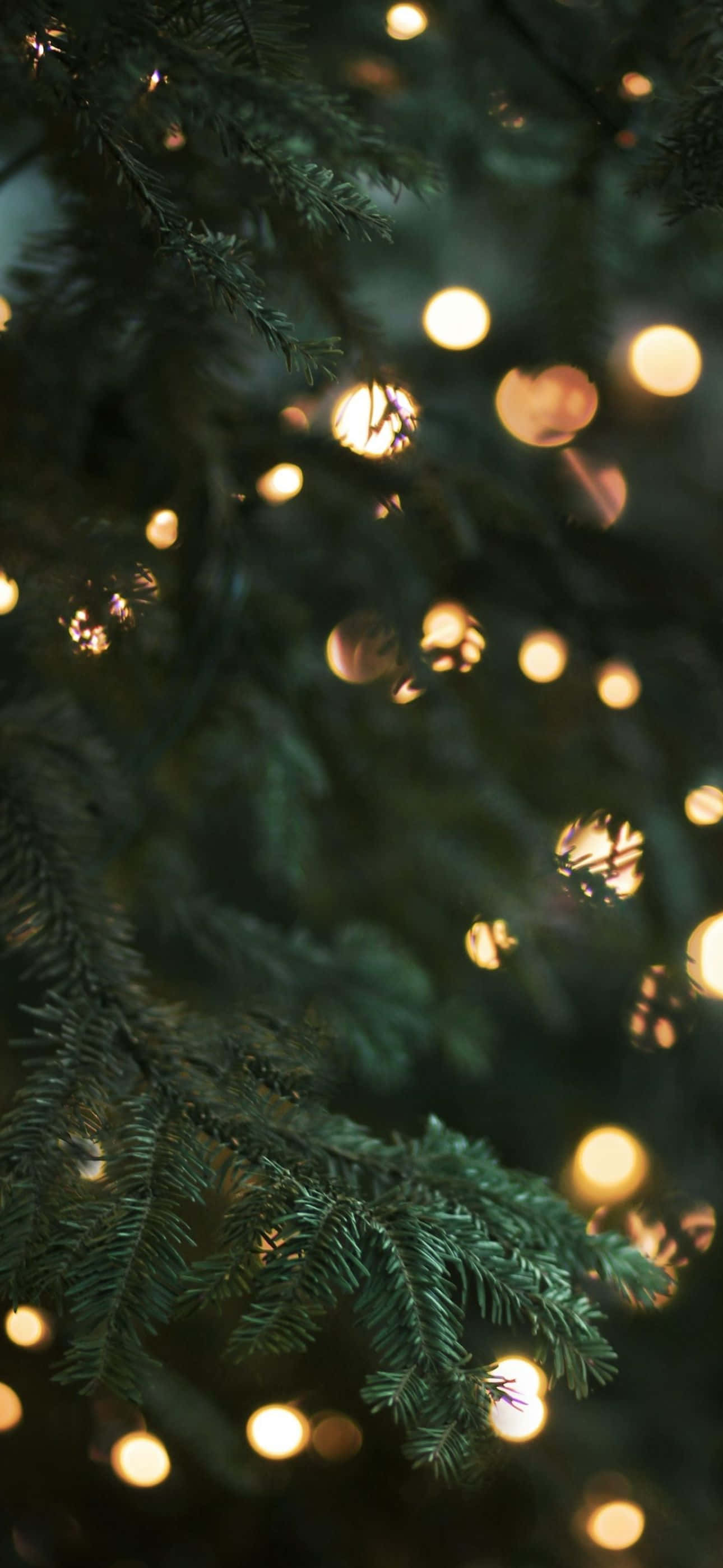この美しいクリスマスiPhone壁紙でお祭り気分を捉えよう 壁紙