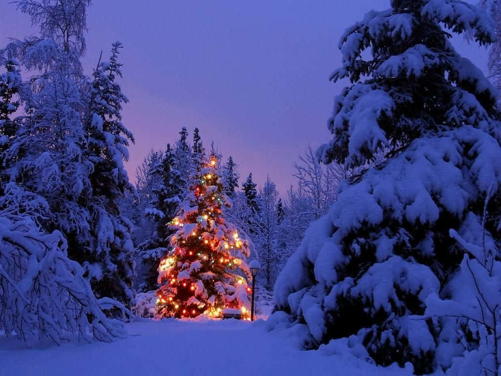 美しいクリスマスの冬のデスクトップ 壁紙