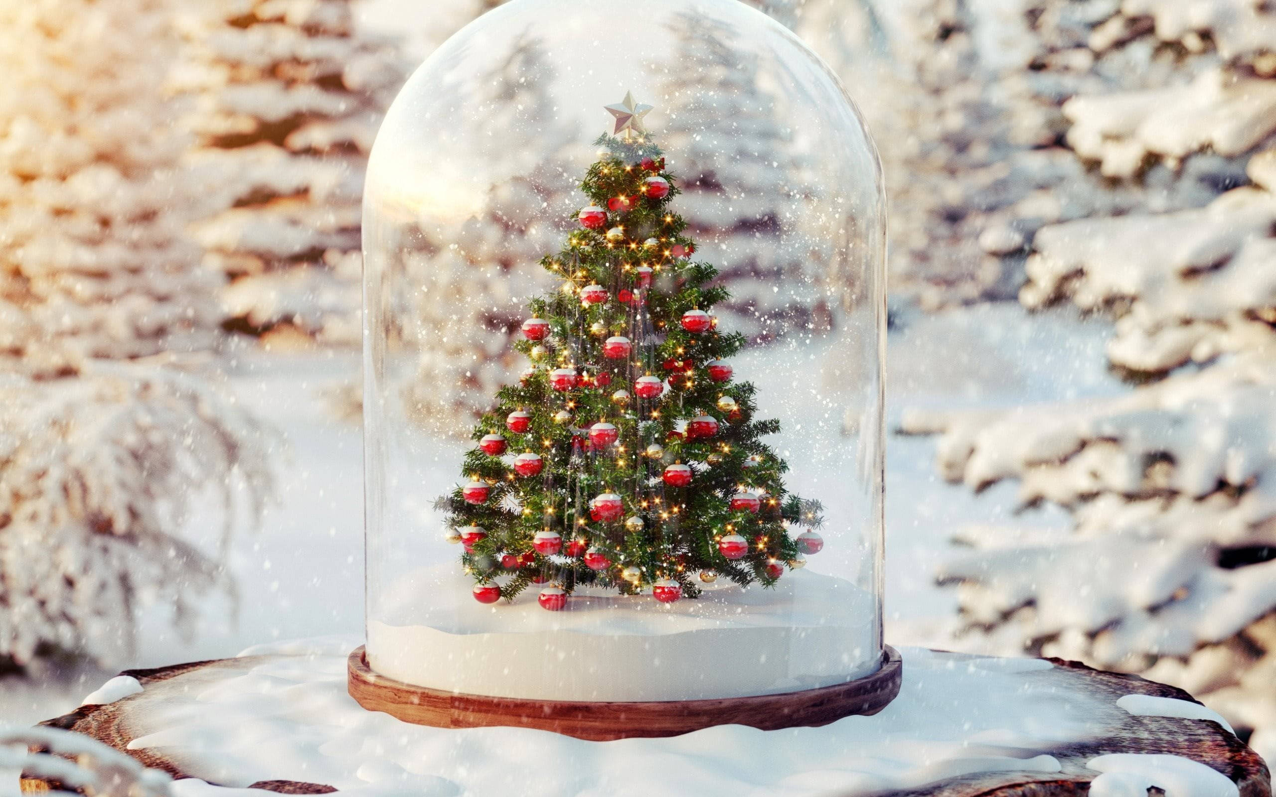 美しいクリスマススノードーム 壁紙