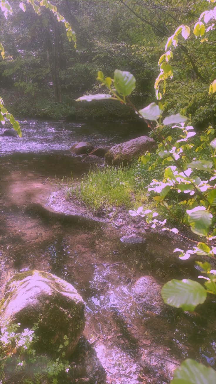美しいフェアリーエステティックの背景で、空気中の魔法を感じよう！ 壁紙